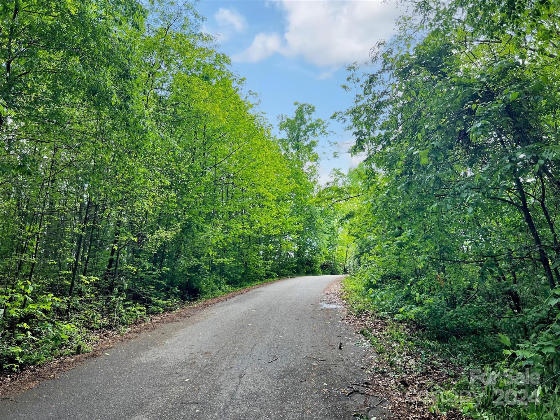 Property image 3 at L 100 Hoosier Court, Lake Junaluska, NC 28745