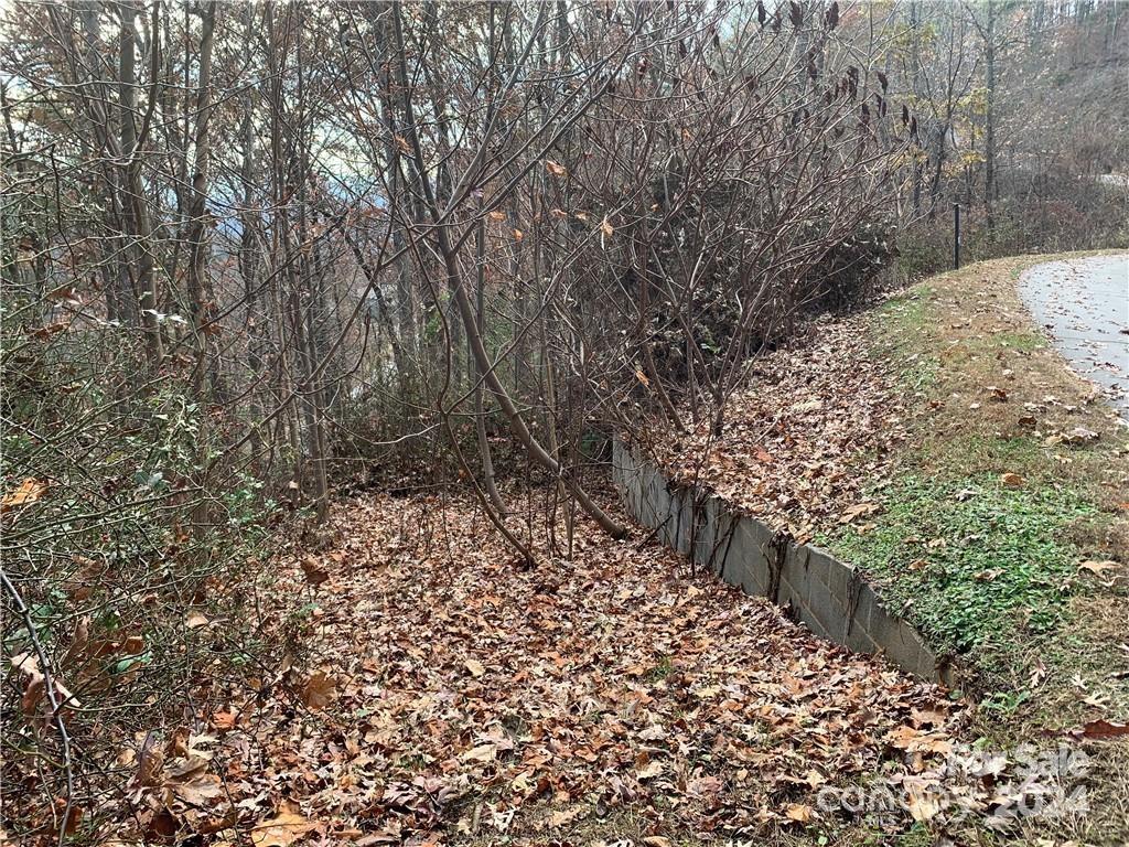 Property image 3 at 15 Waxwing Way, Asheville, NC 28804