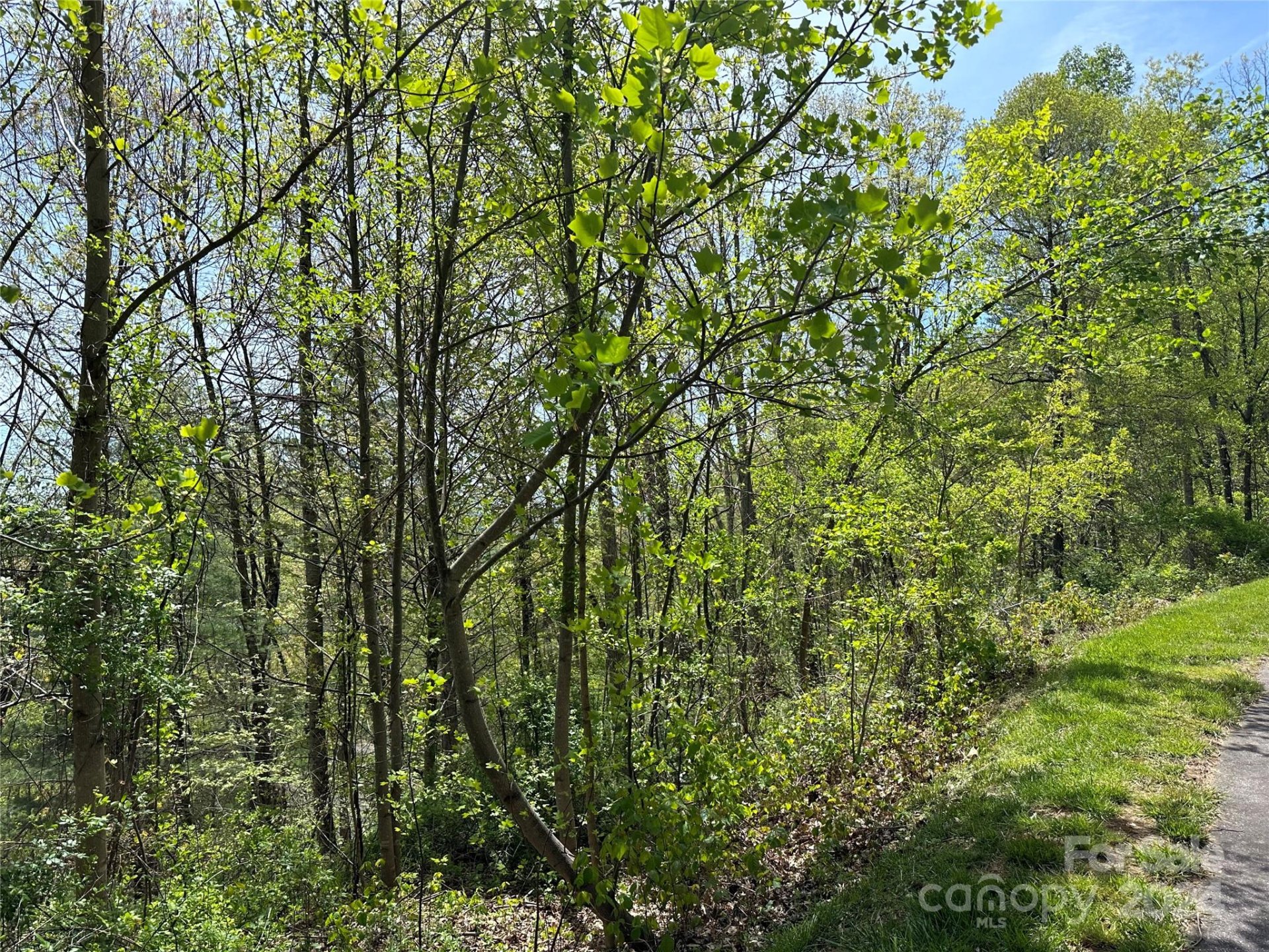 Property image 5 at 15 Waxwing Way, Asheville, NC 28804