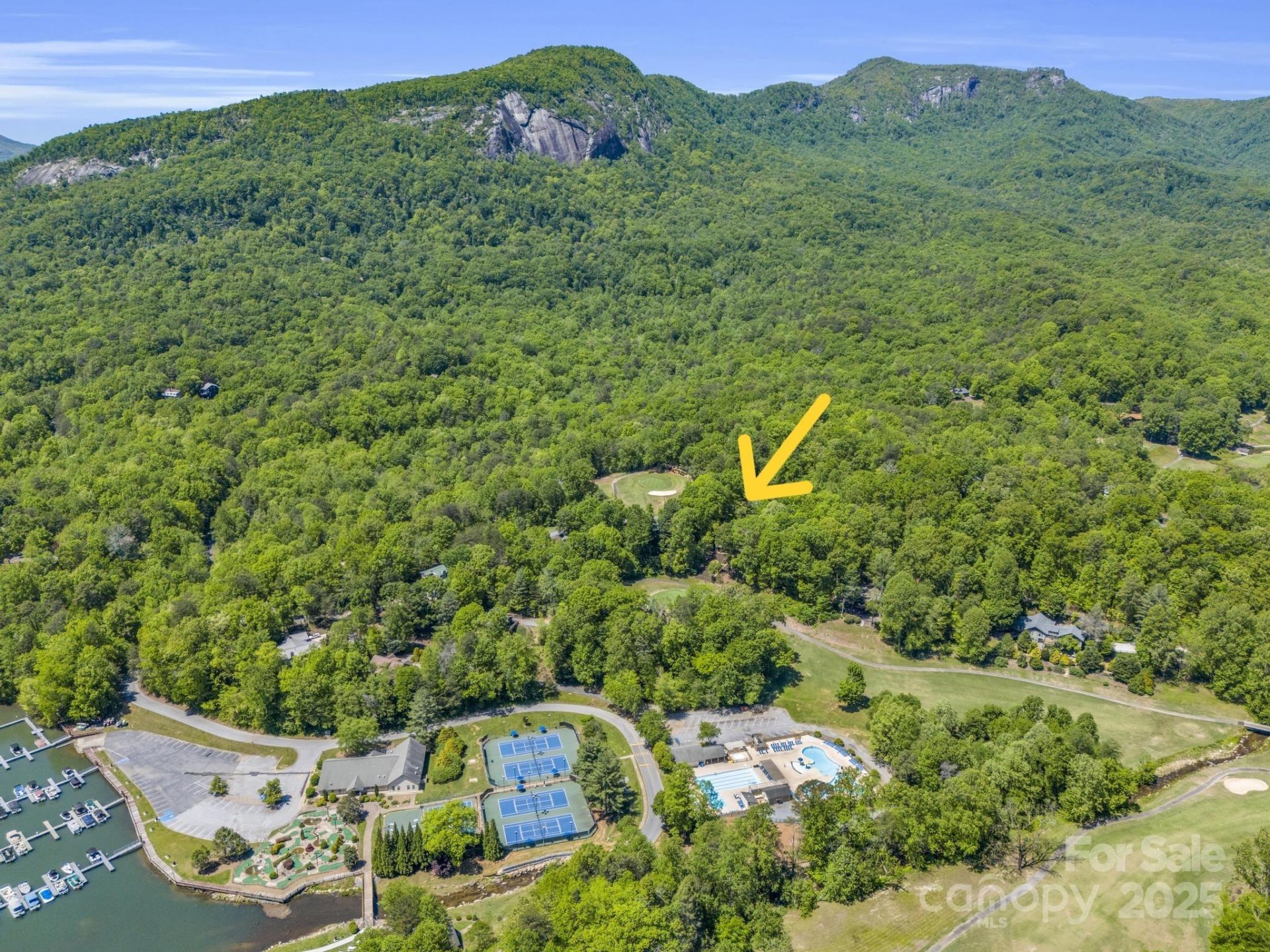 Property image 4 at , Lake Lure, NC 28746, Lake Lure, NC 28746
