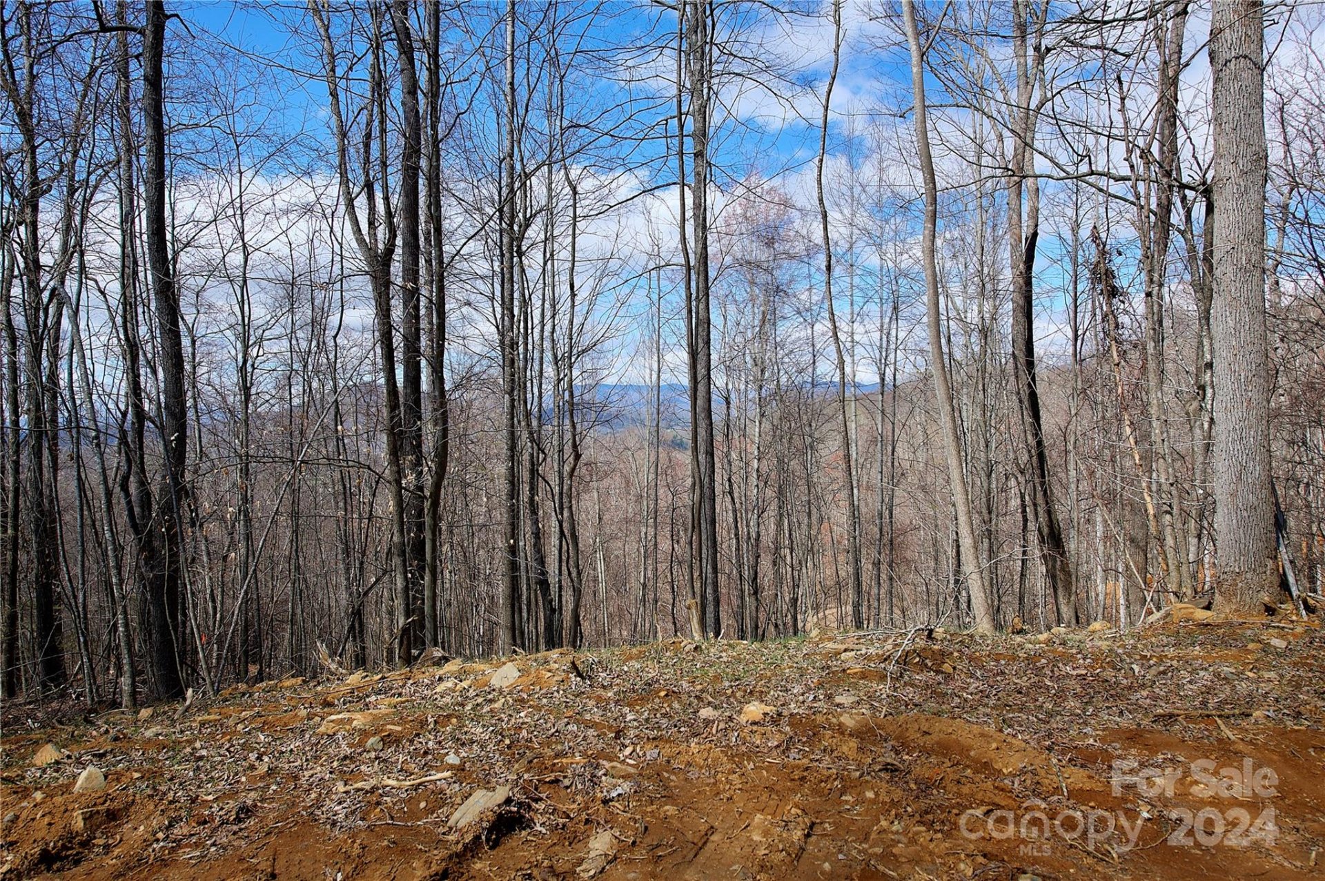 Property image 1 at 000 Pebble Ridge Road, Spruce Pine, NC 28777