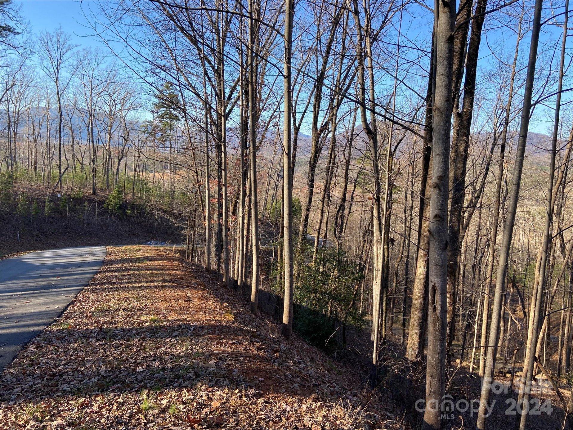 0 High Pines Loop