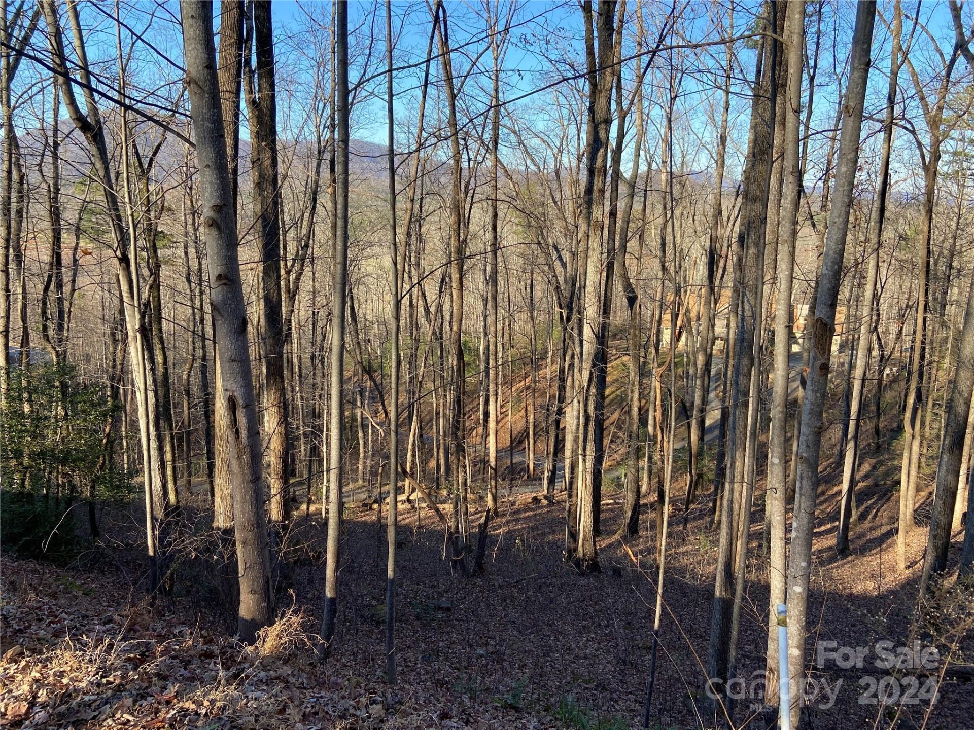 Property image 2 at 0 High Pines Loop, Lake Lure, NC 28746