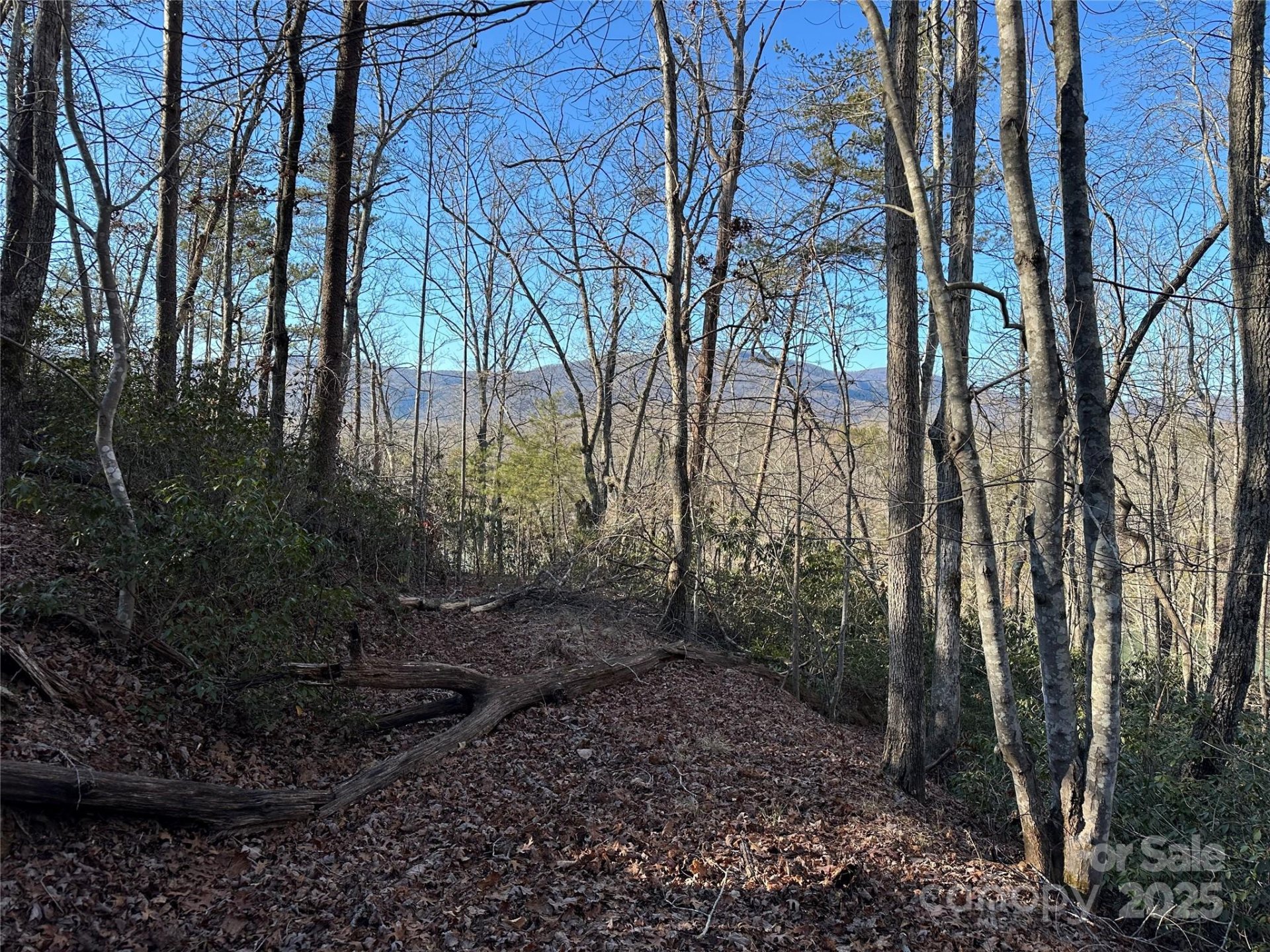 Property image 2 at Lot 62 Lake Adger Parkway, Mill Spring, NC 28756