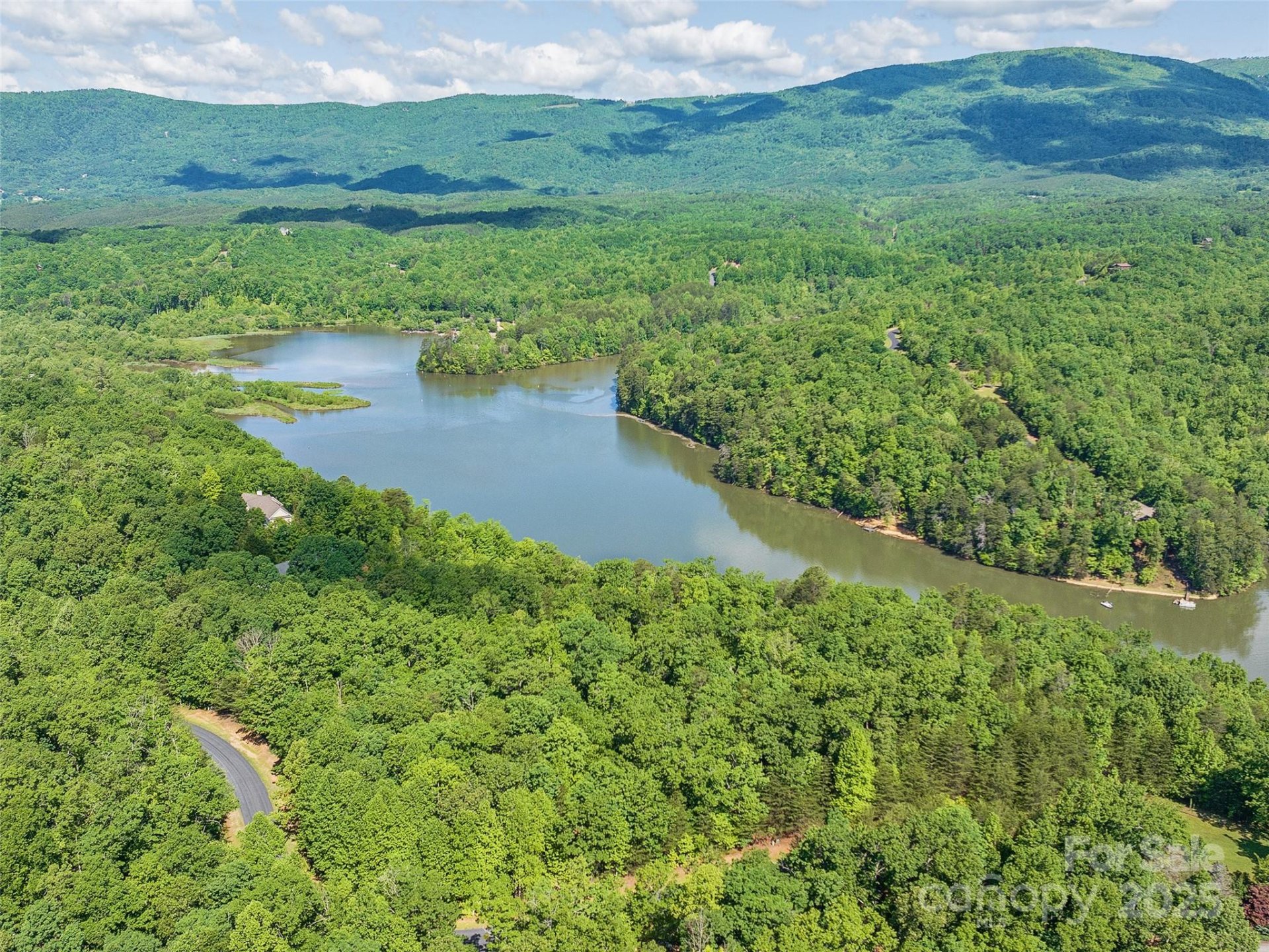 Property image 3 at Lot 62 Lake Adger Parkway, Mill Spring, NC 28756