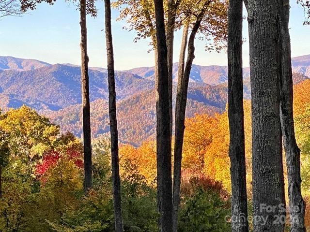 Property image 1 at 81 Creekside Drive, Burnsville, NC 28714