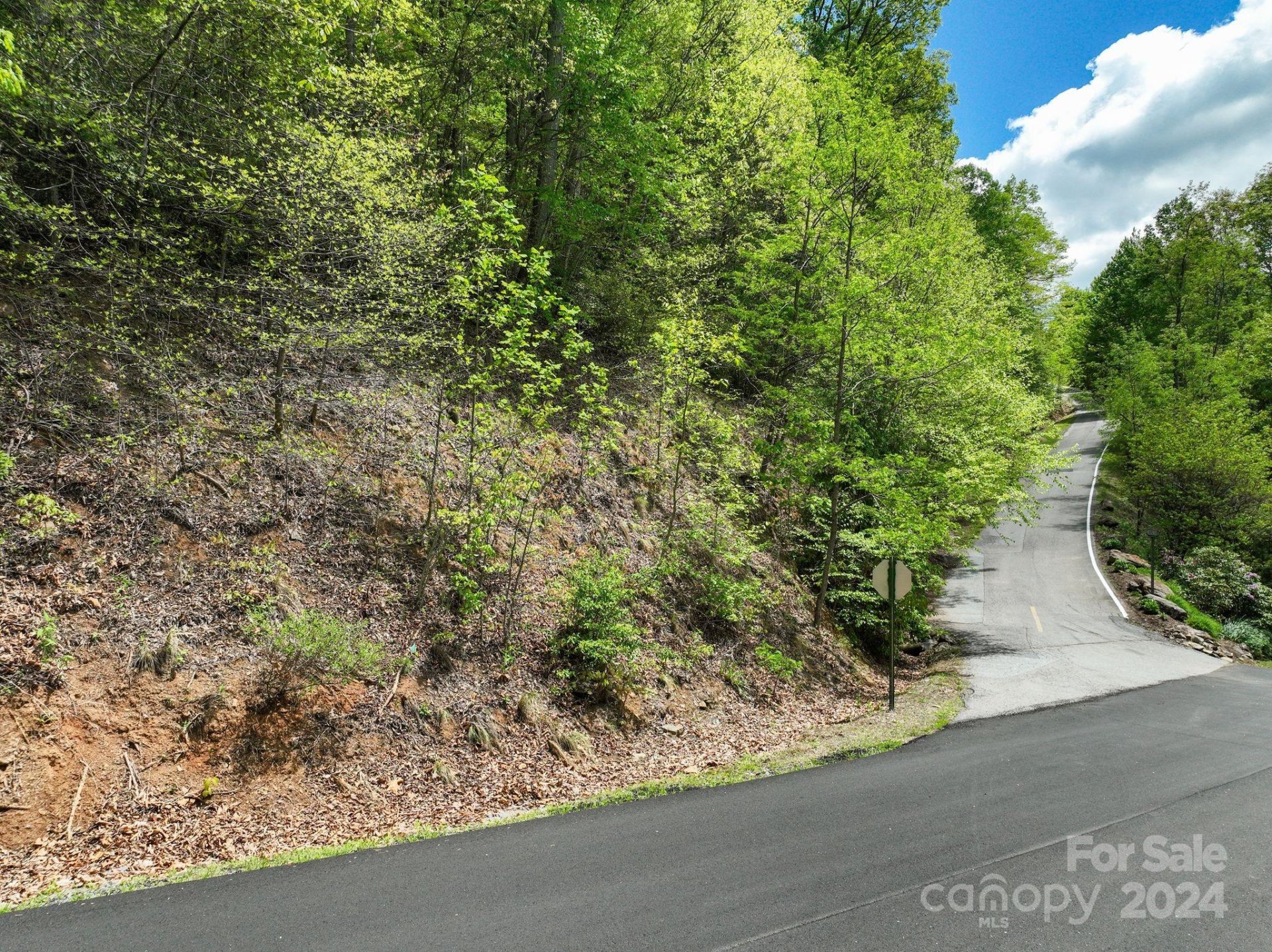Property image 3 at 99999 Winding Poplar Road, Black Mountain, NC 28711
