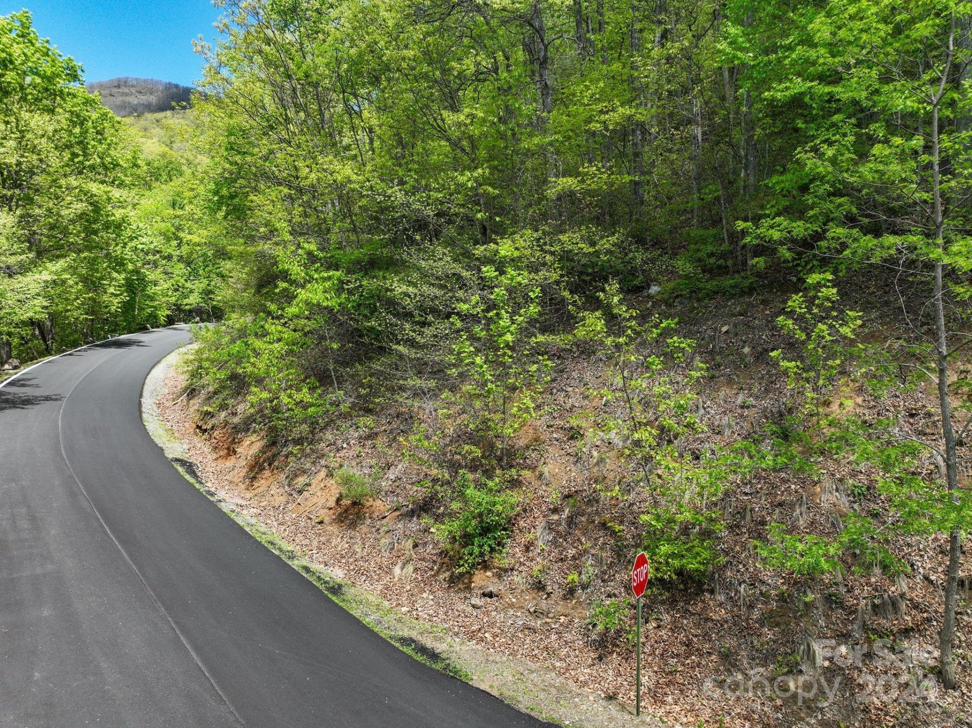 Property image 4 at 99999 Winding Poplar Road, Black Mountain, NC 28711