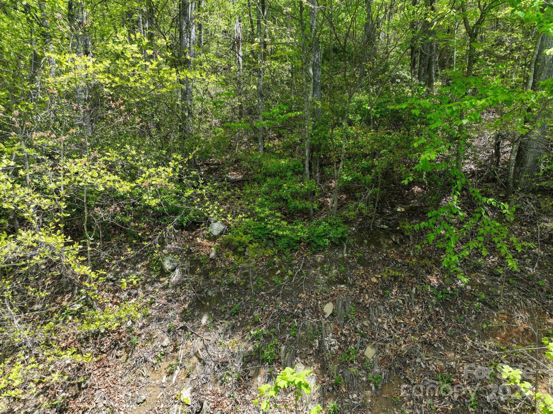 Property image 5 at 99999 Winding Poplar Road, Black Mountain, NC 28711