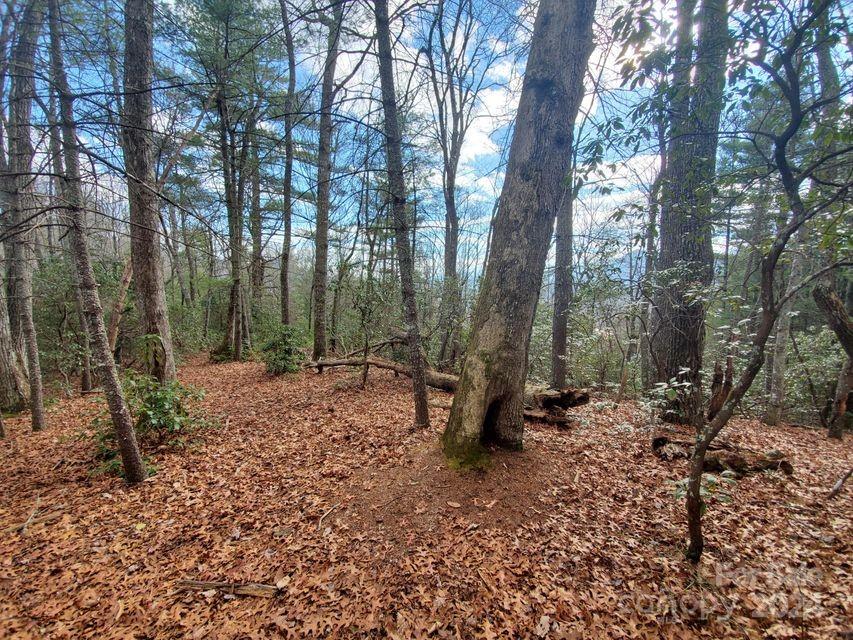 Property image 3 at 00 Elkins Road, Bakersville, NC 28705