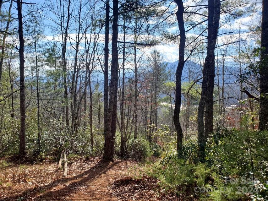Property image 4 at 00 Elkins Road, Bakersville, NC 28705