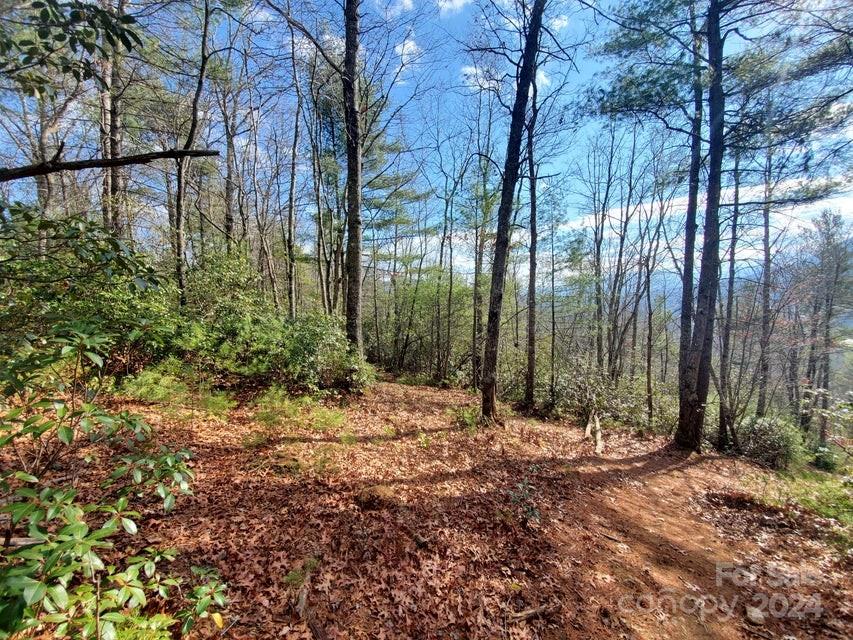 Property image 5 at 00 Elkins Road, Bakersville, NC 28705