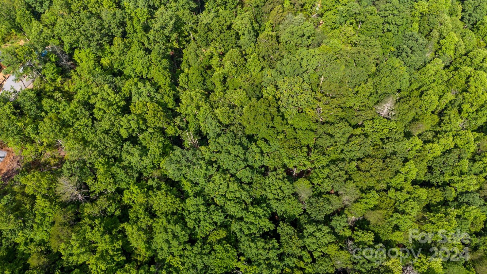 Property image 3 at Lot 14 Mintwood Court, Lake Lure, NC 28746