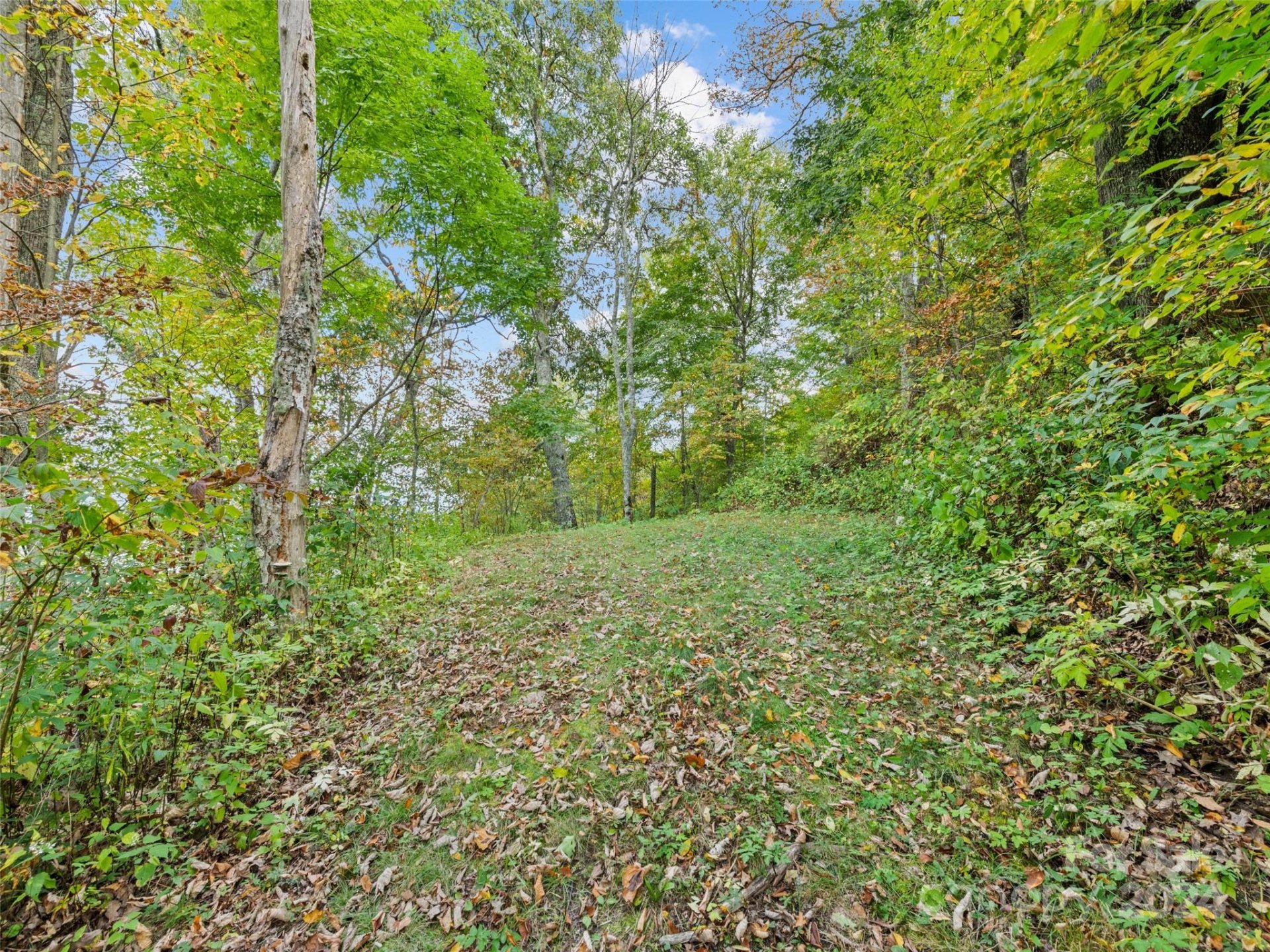 Property image 3 at Lot E17 Adela Trail, Maggie Valley, NC 28751