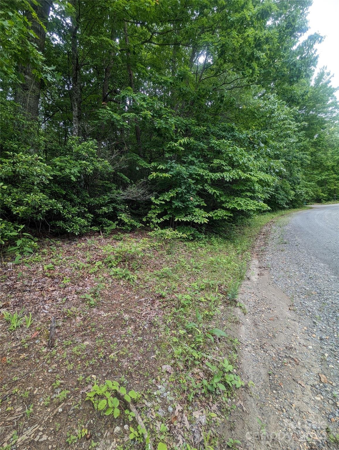 Property image 3 at 00 Jones Court, Lake Lure, NC 28746