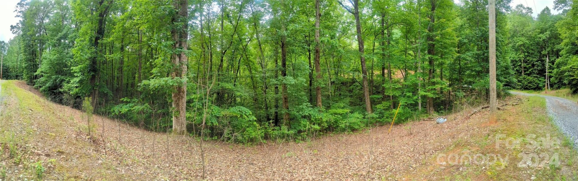 Property image 4 at 00 Jones Court, Lake Lure, NC 28746