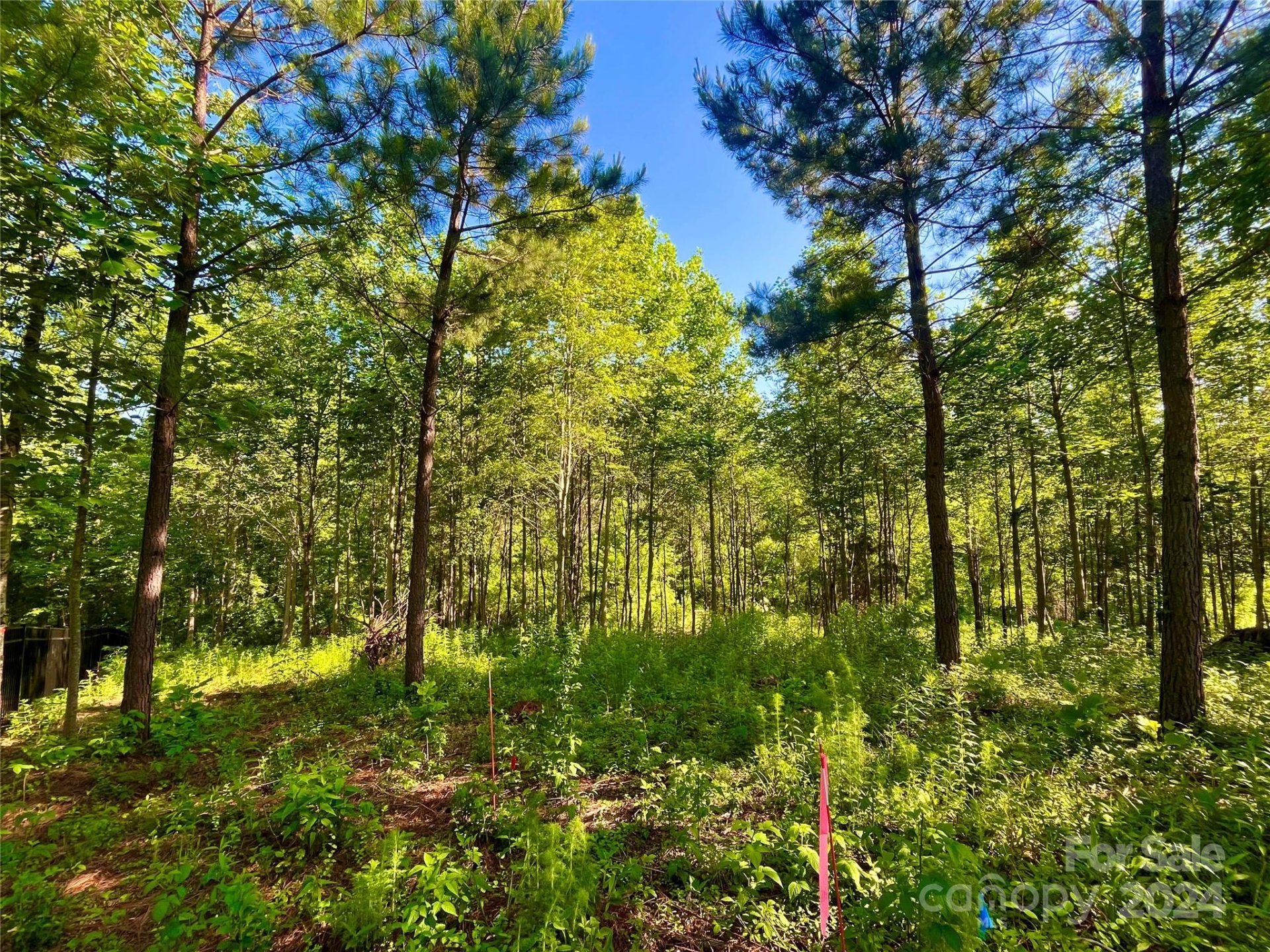 Property image 2 at 151 Lot Ryleigh Dan Place, Mooresville, NC 28115