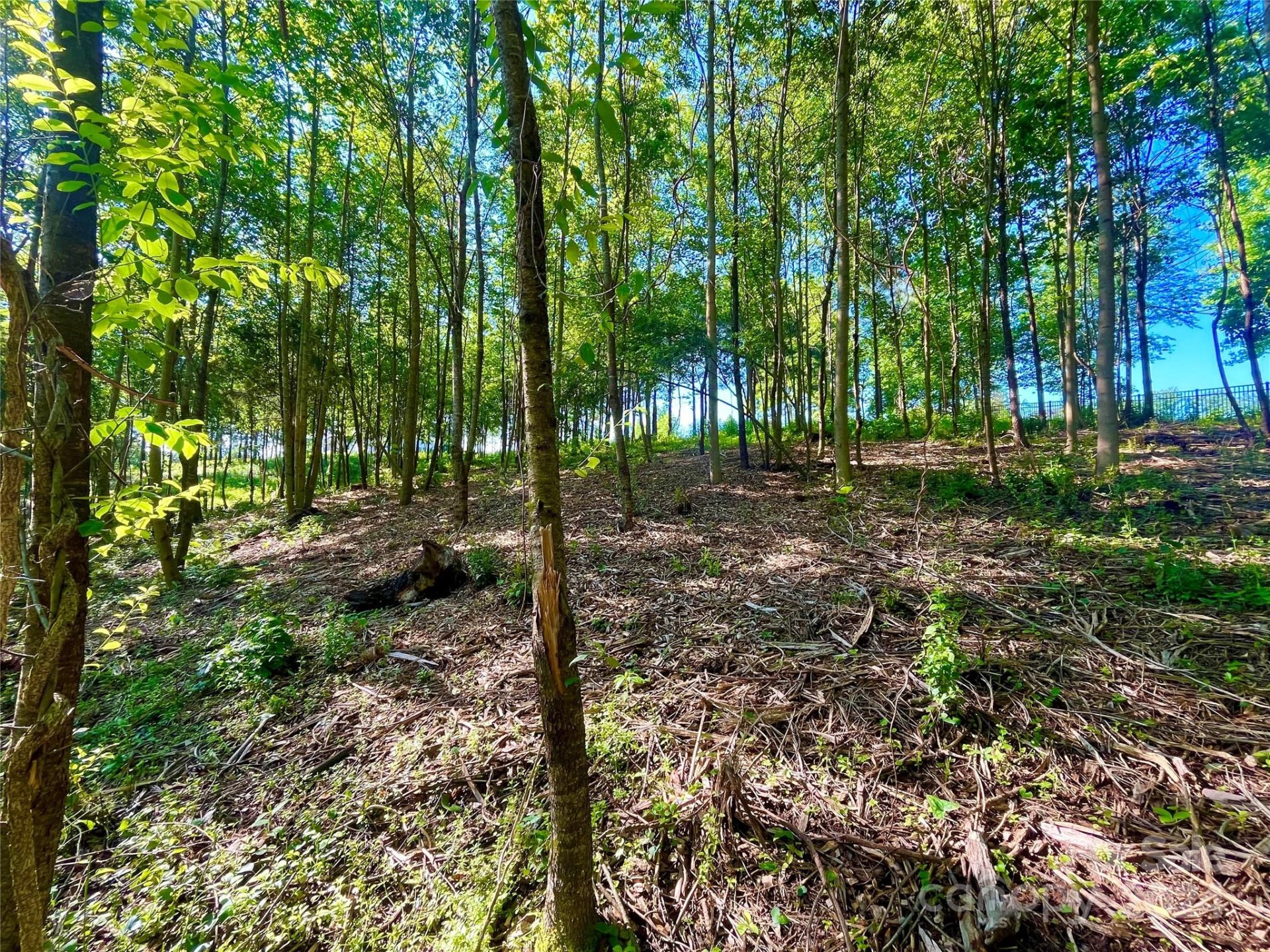 Property image 4 at 151 Lot Ryleigh Dan Place, Mooresville, NC 28115