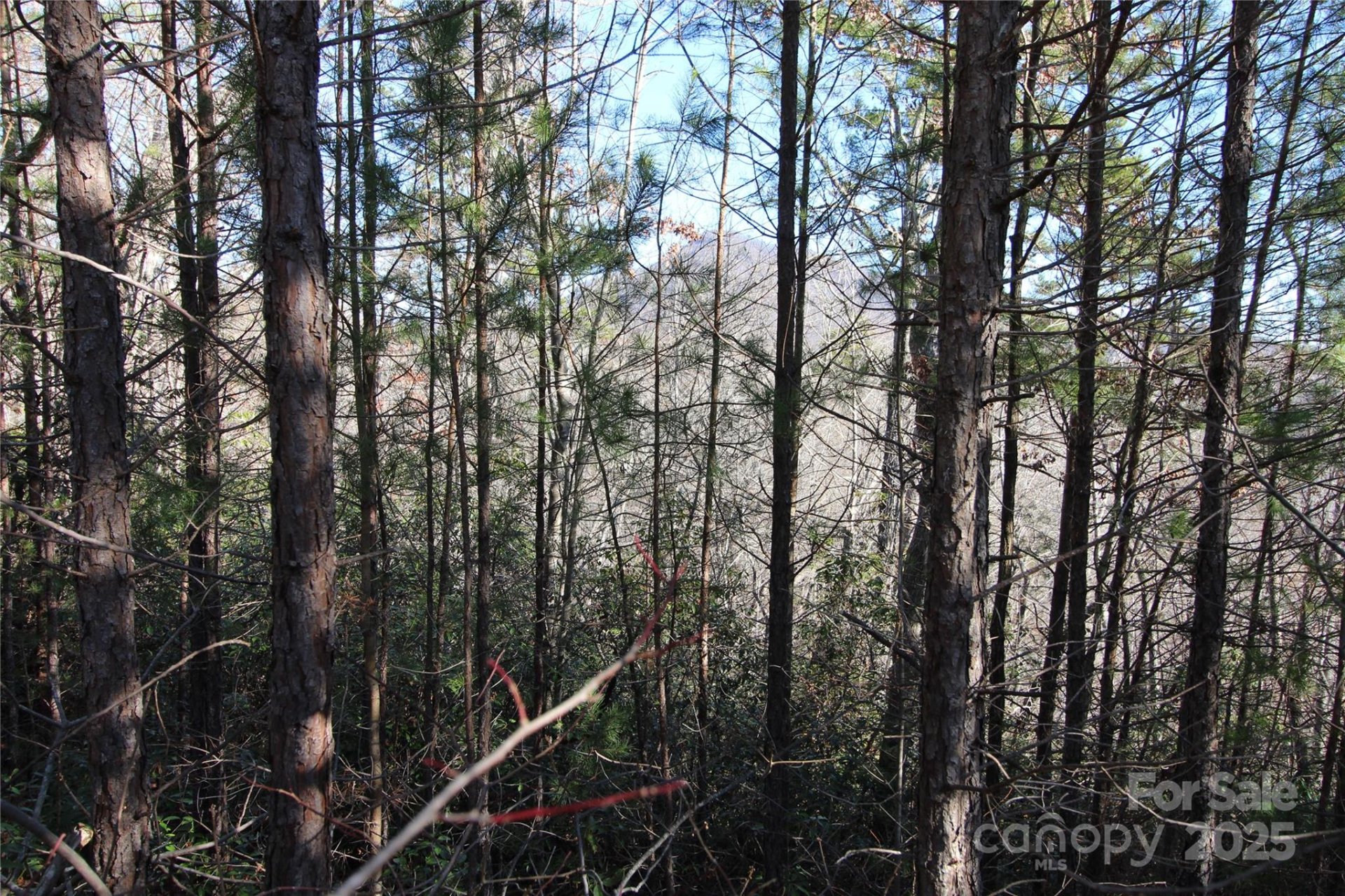 Property image 5 at Lots 16 18 Highland Heights, Lake Lure, NC 28746