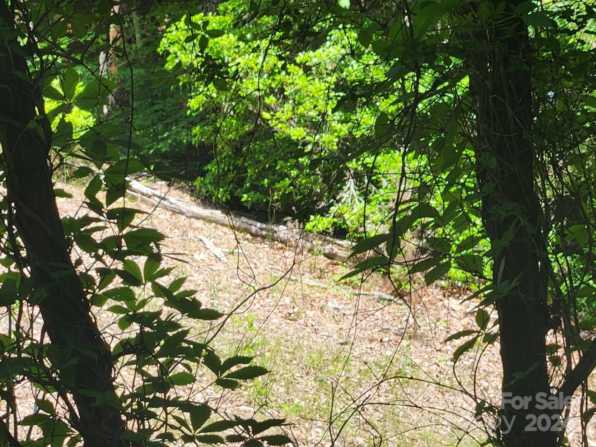 00 Hickory Nut Lane