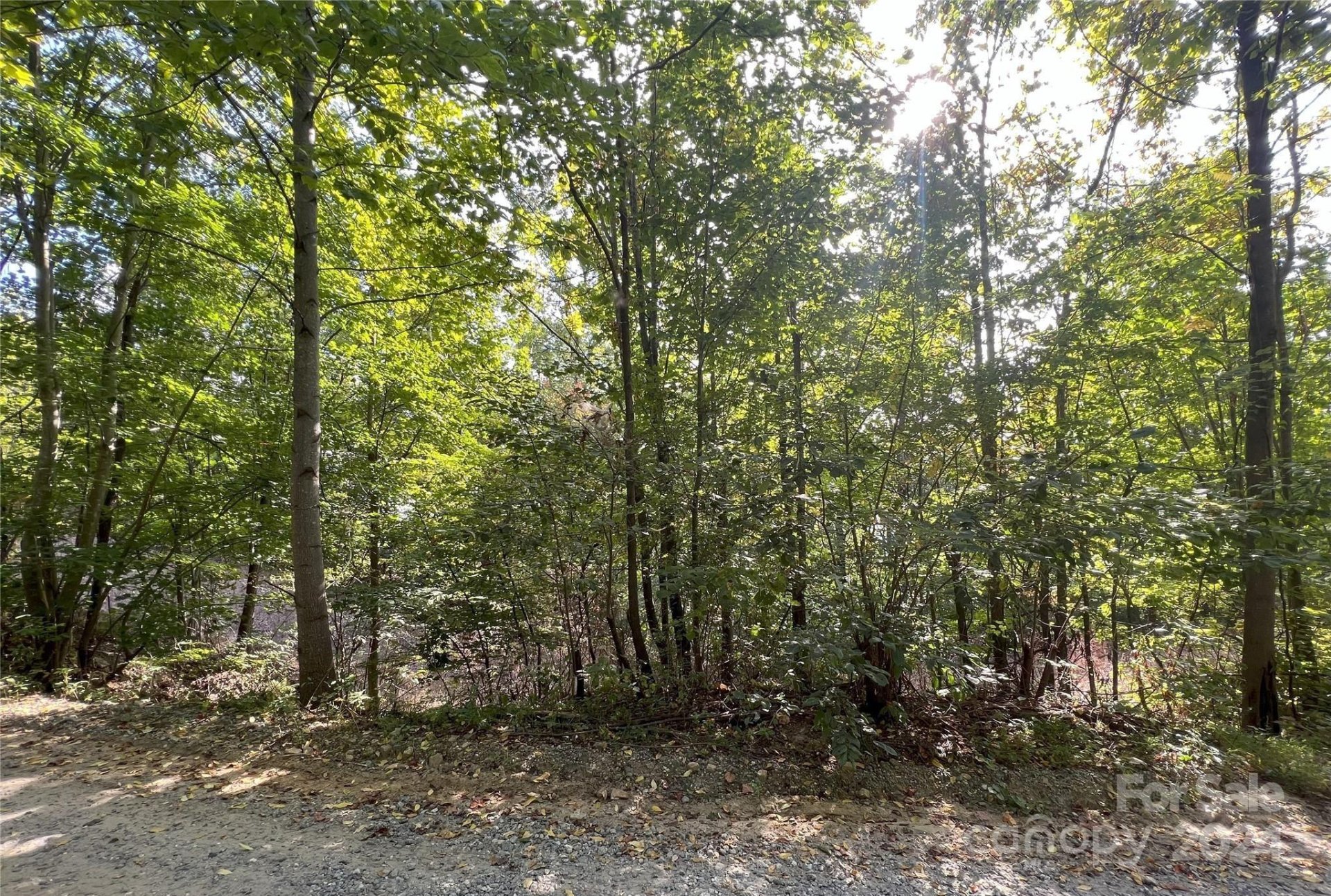 Property image 2 at 00 Hickory Nut Lane, Lake Lure, NC 28746