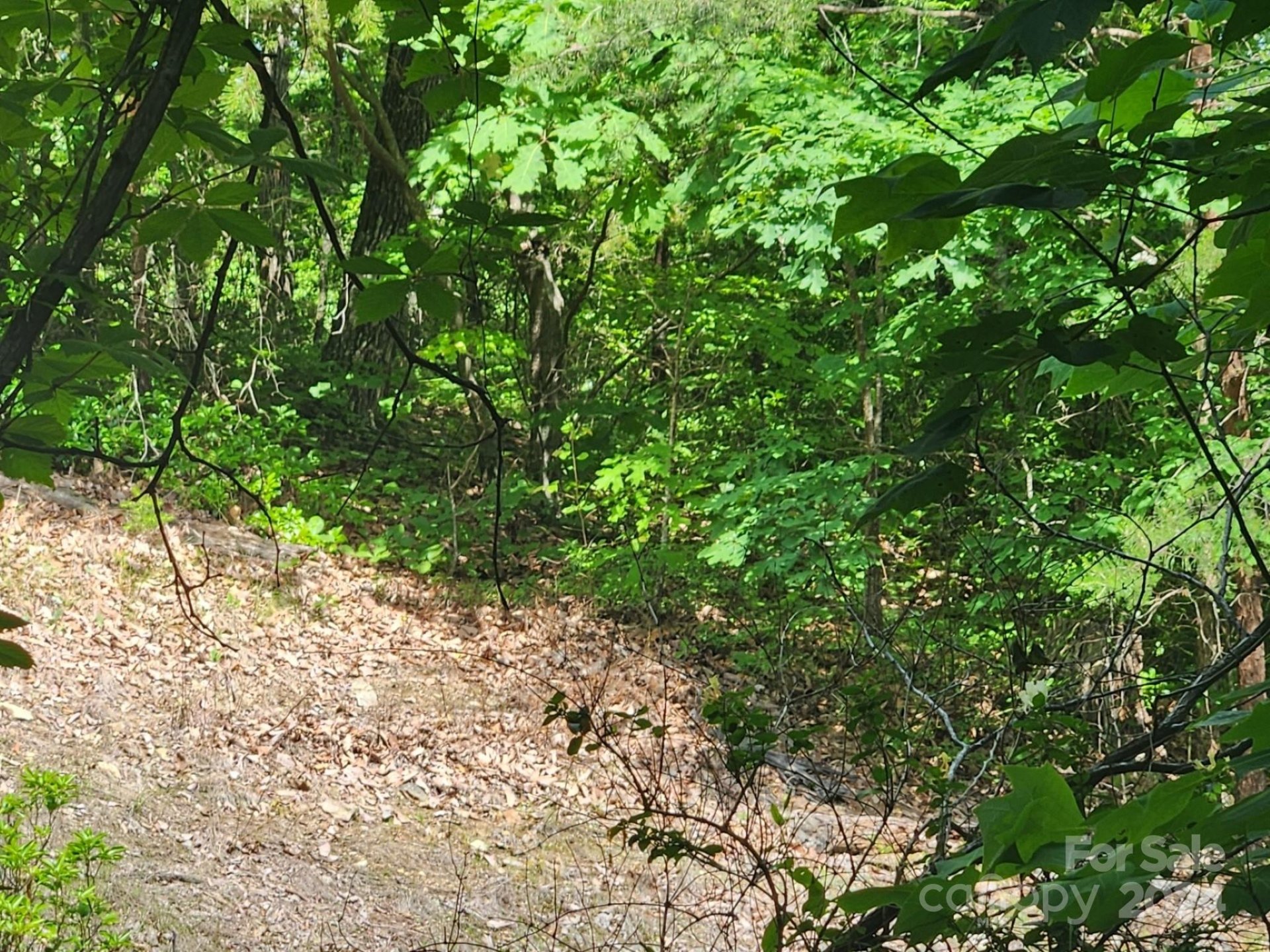 Property image 3 at 00 Hickory Nut Lane, Lake Lure, NC 28746