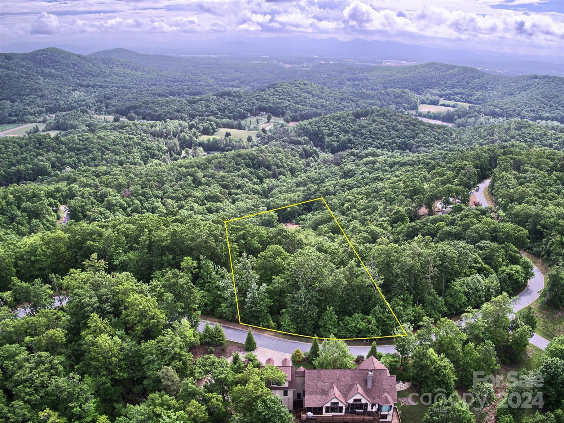 Property image 3 at 1094 Mills River Way, Horse Shoe, NC 28742