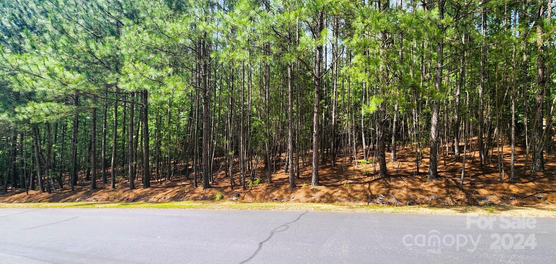 Property image 1 at 5485 Bridgewater Drive, Granite Falls, NC 28630