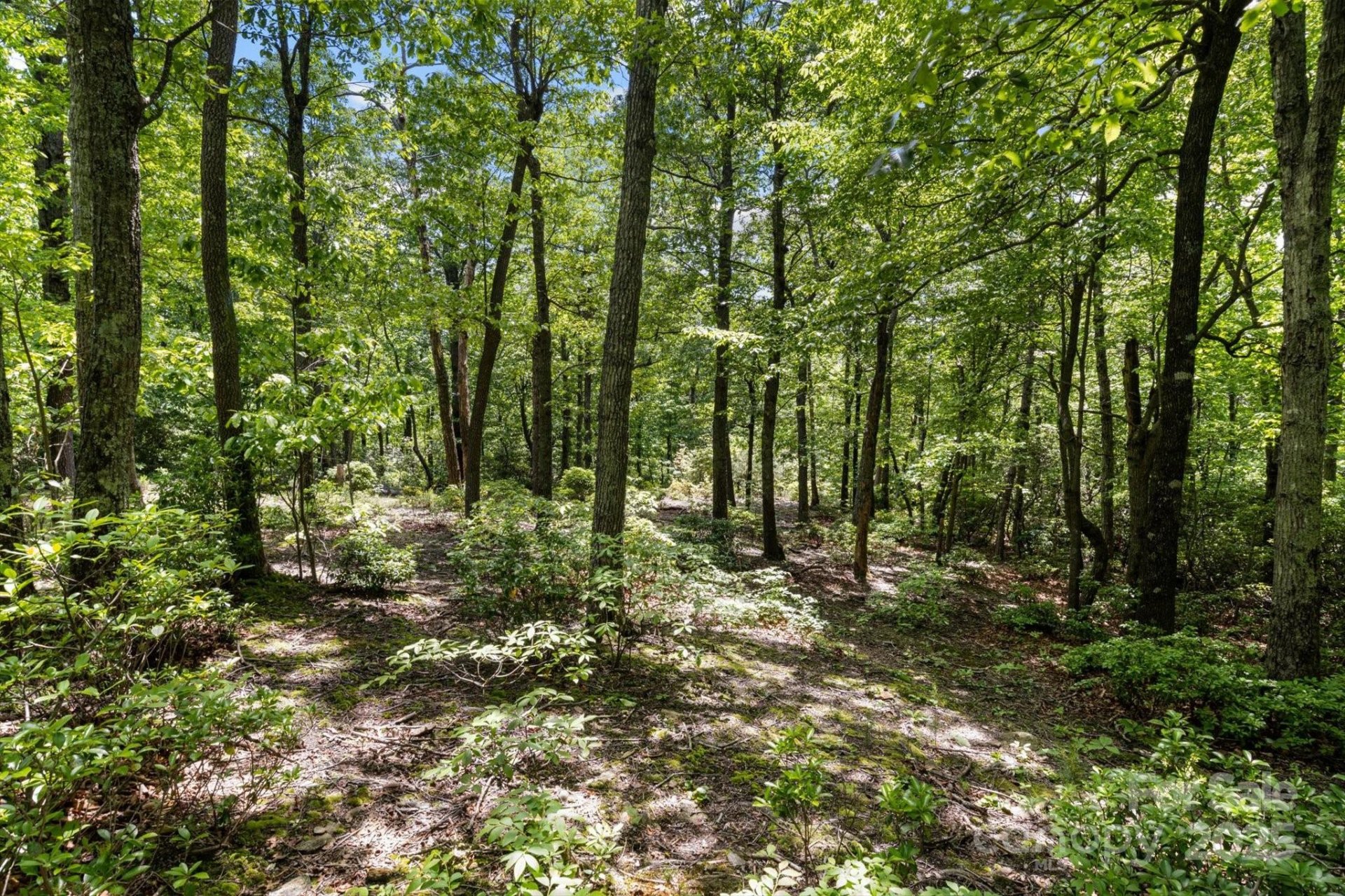 Property image 2 at 99999 Arrowhead Trail, Columbus, NC 28722