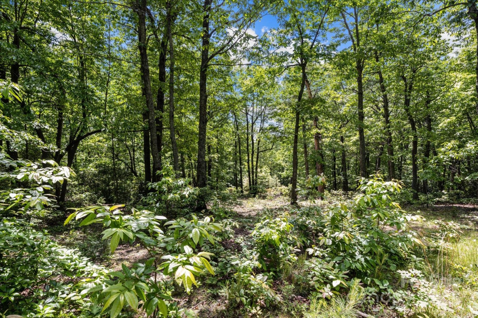 Property image 3 at 99999 Arrowhead Trail, Columbus, NC 28722