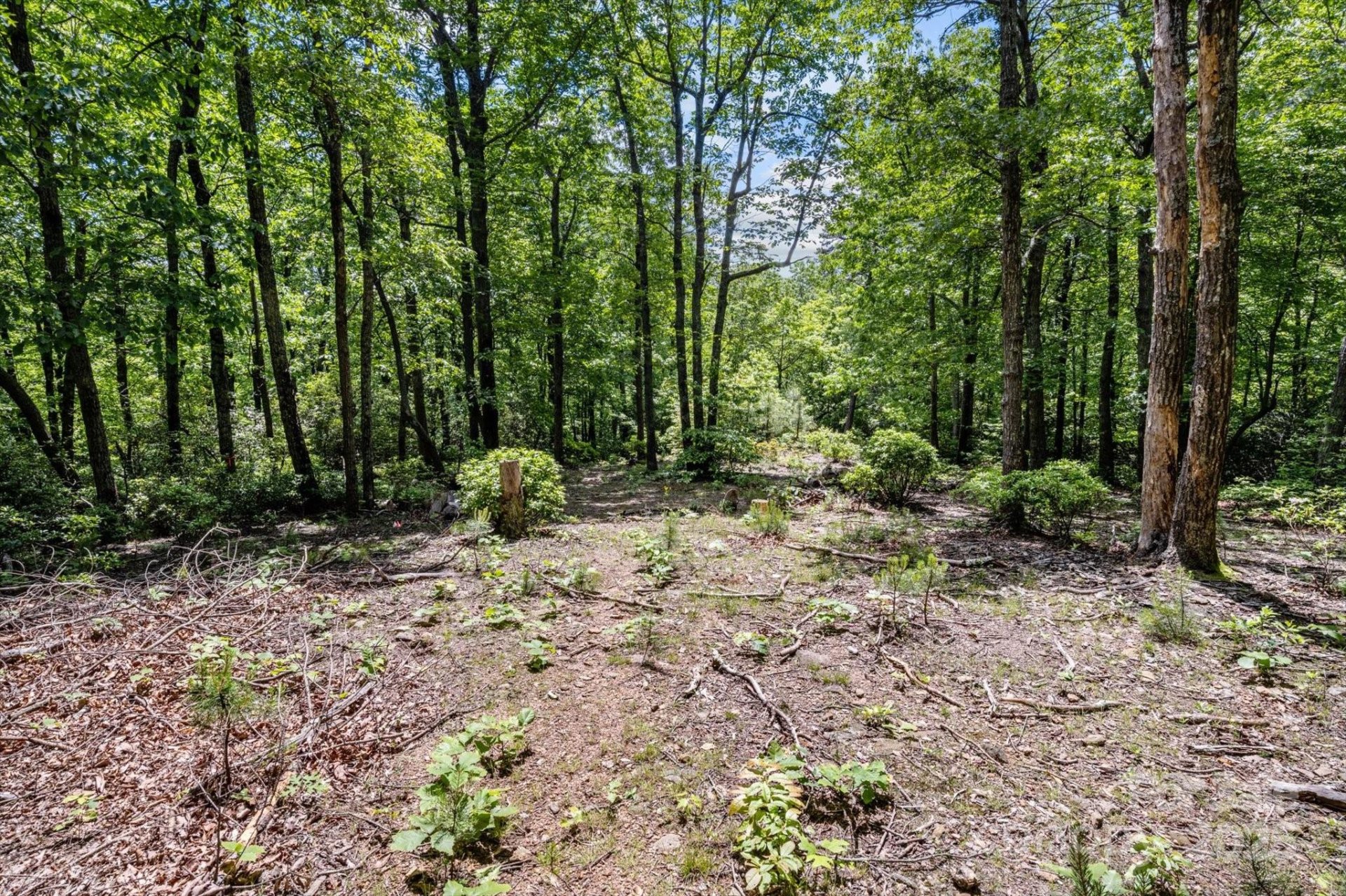 Property image 4 at 99999 Arrowhead Trail, Columbus, NC 28722