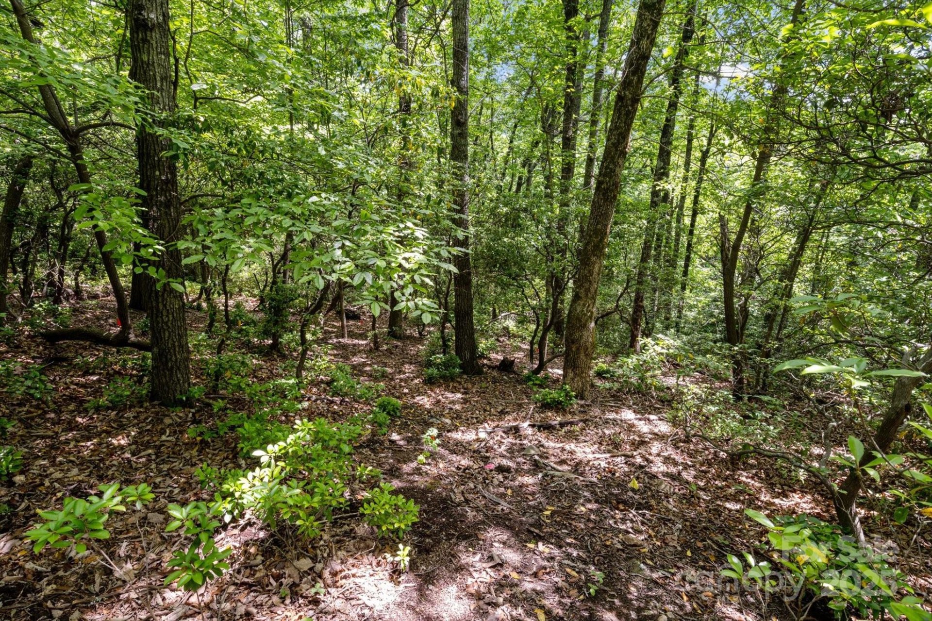 Property image 5 at 99999 Arrowhead Trail, Columbus, NC 28722