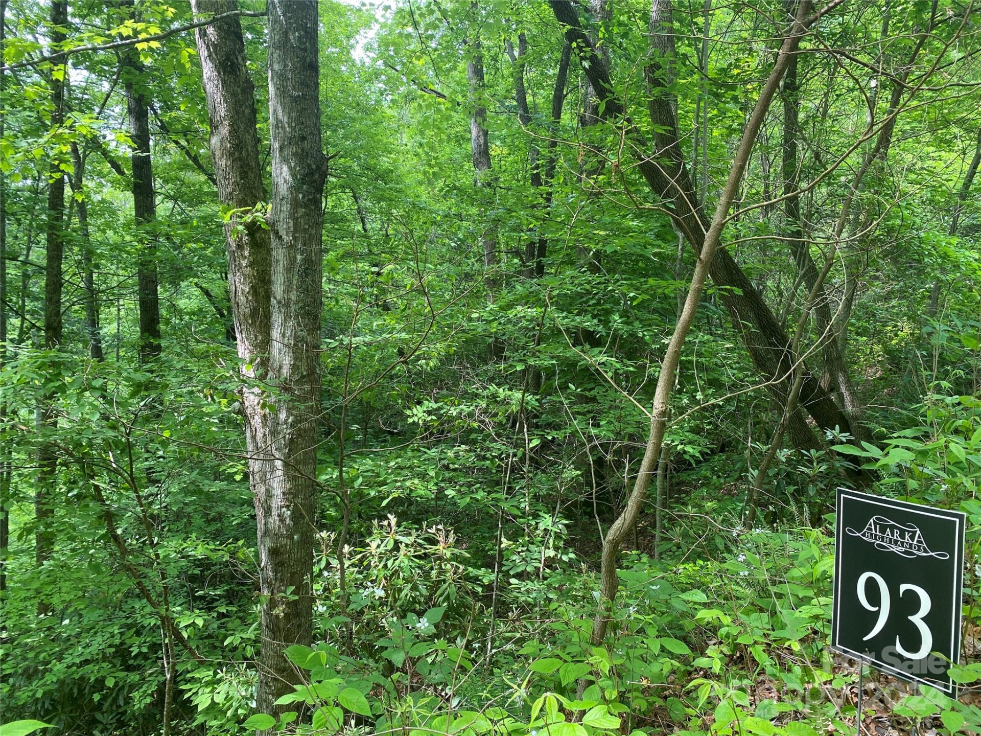 Lot 93 Alarka Highlands Drive