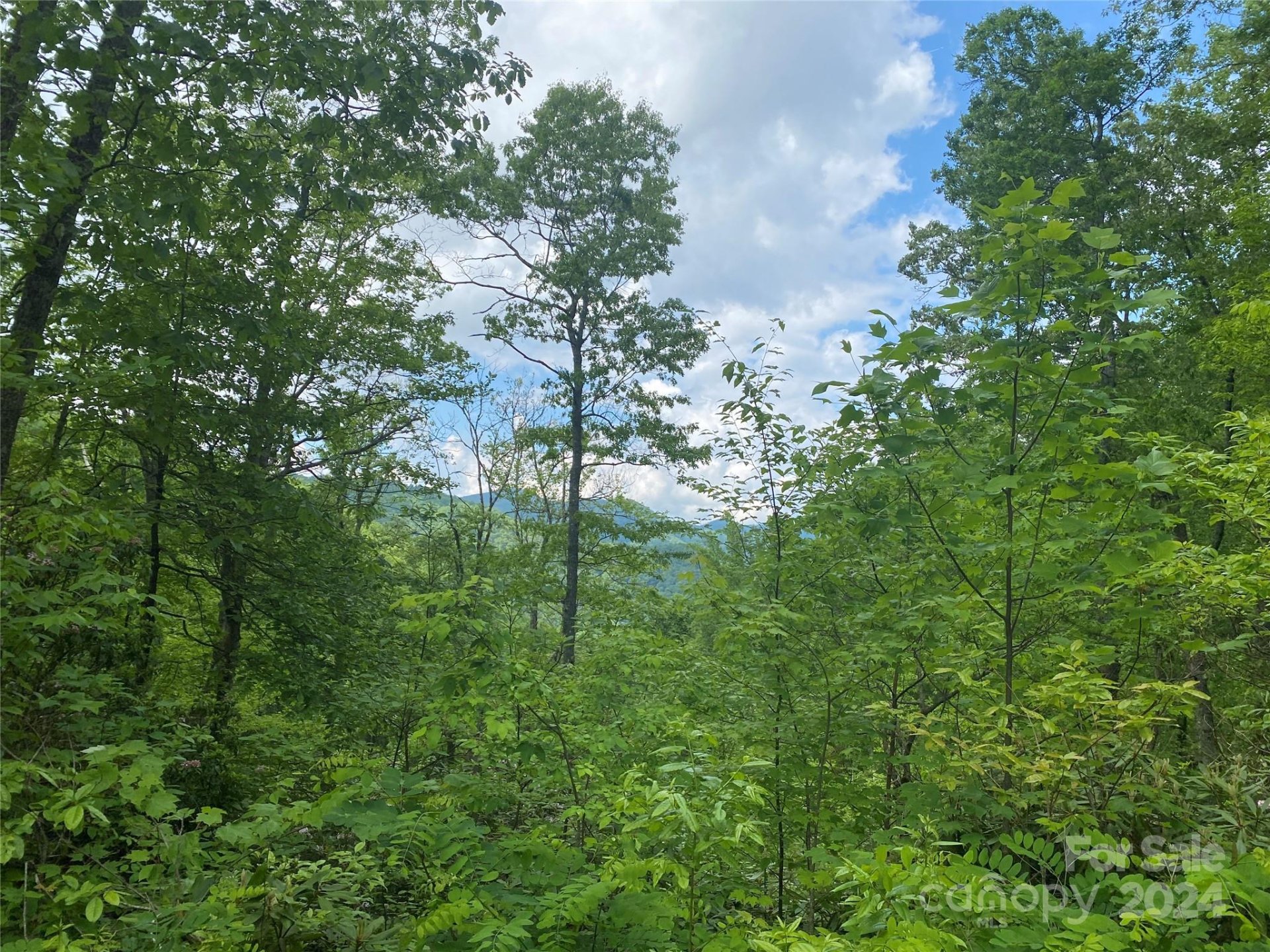 Property image 2 at Lot 93 Alarka Highlands Drive, Bryson City, NC 28713