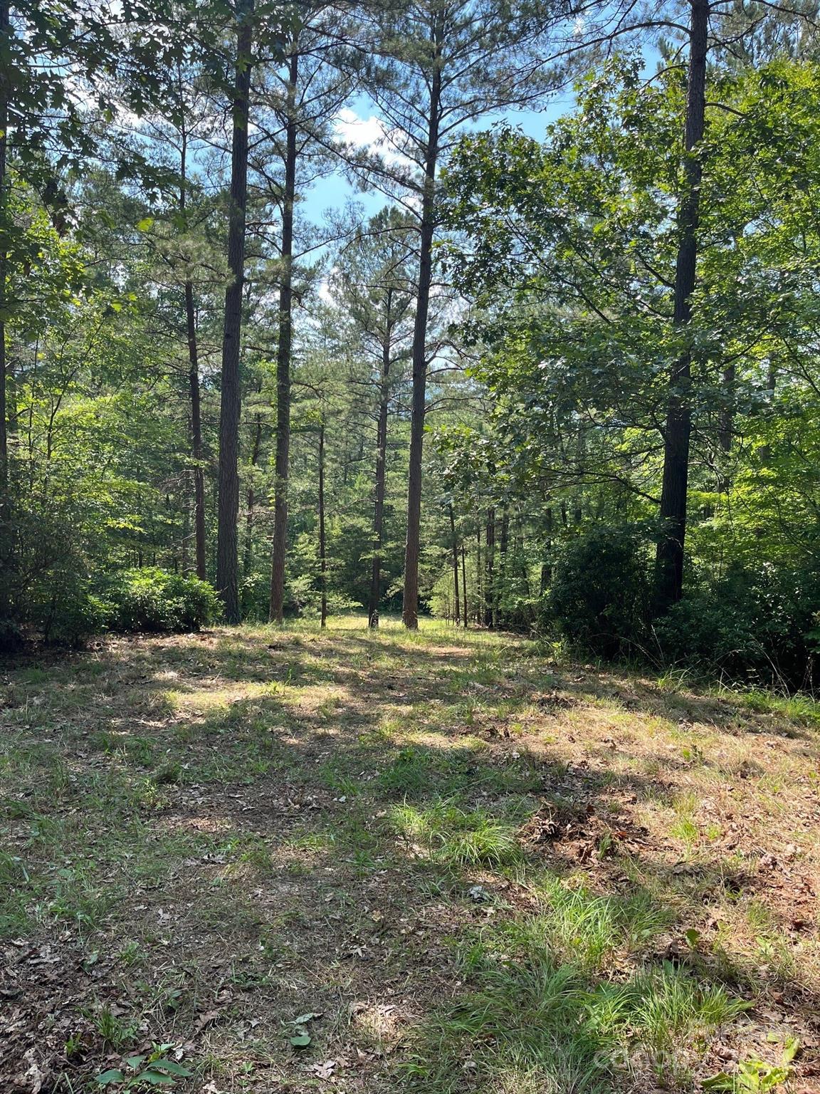 Property image 2 at Lot 46 Lake Adger Parkway, Mill Spring, NC 28756