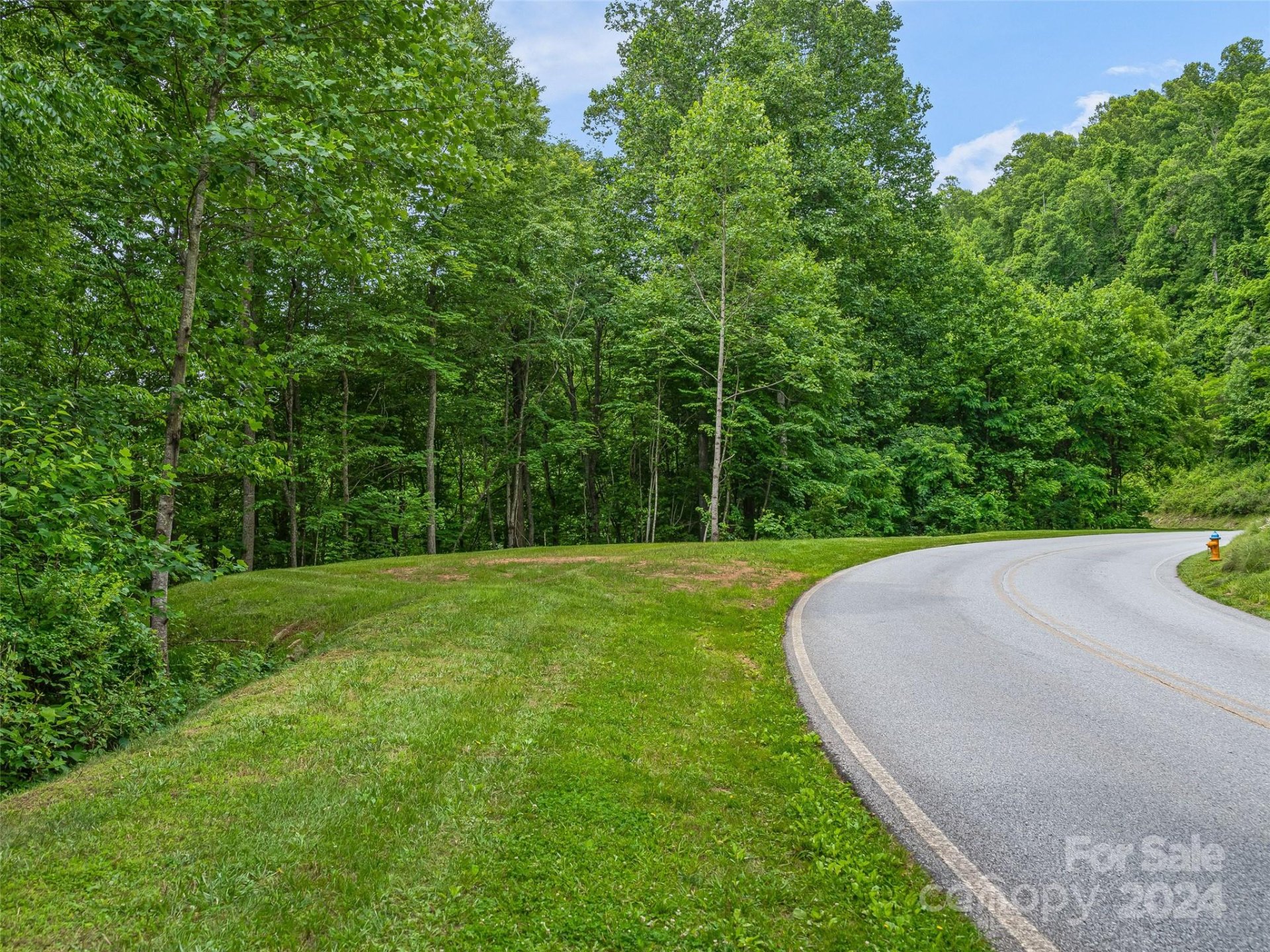 Property image 5 at 99999 Cliffsridge Parkway, Arden, NC 28704