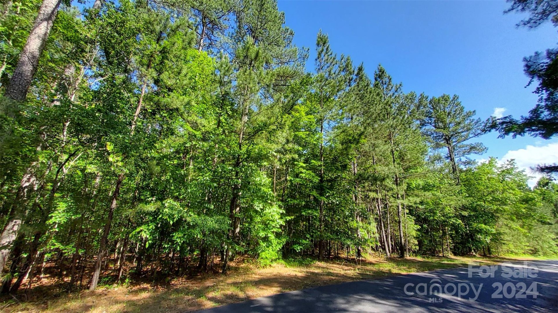 00 Loblolly Lane