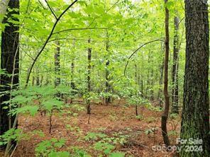 Property image 5 at 00 Loblolly Lane, Mill Spring, NC 28756