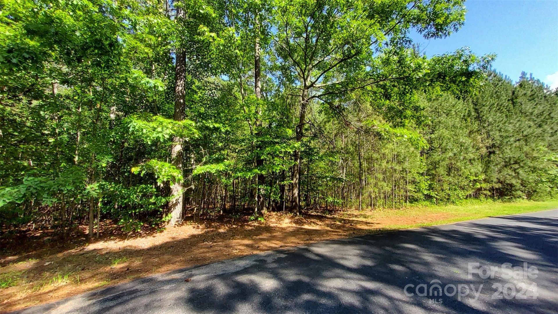 Property image 2 at 000 Loblolly Lane, Mill Spring, NC 28756