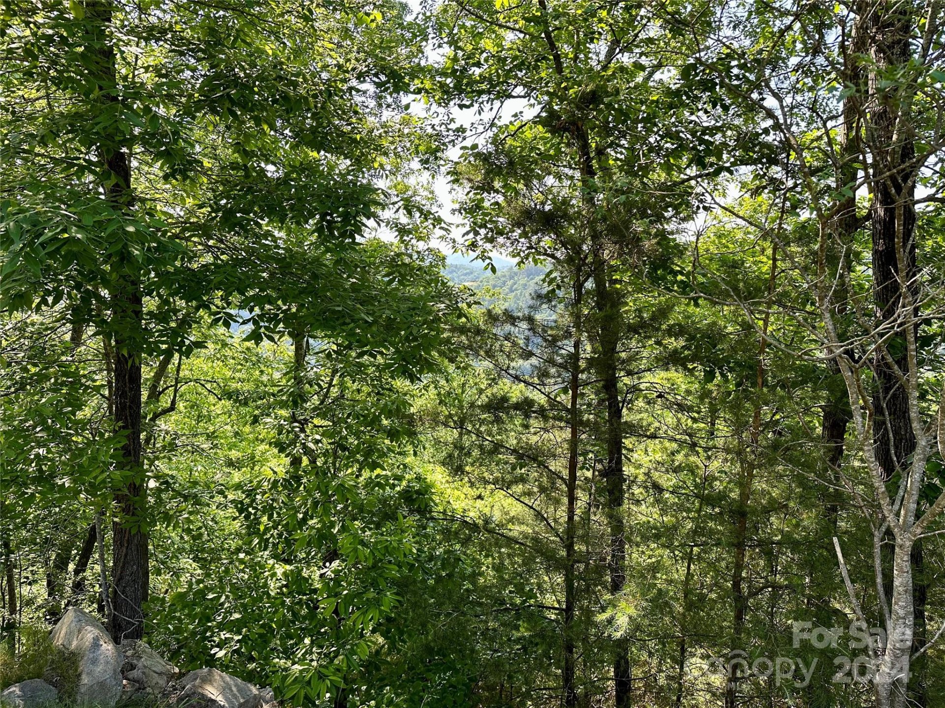 Property at 387 Wild River Run, Marshall, NC 28753