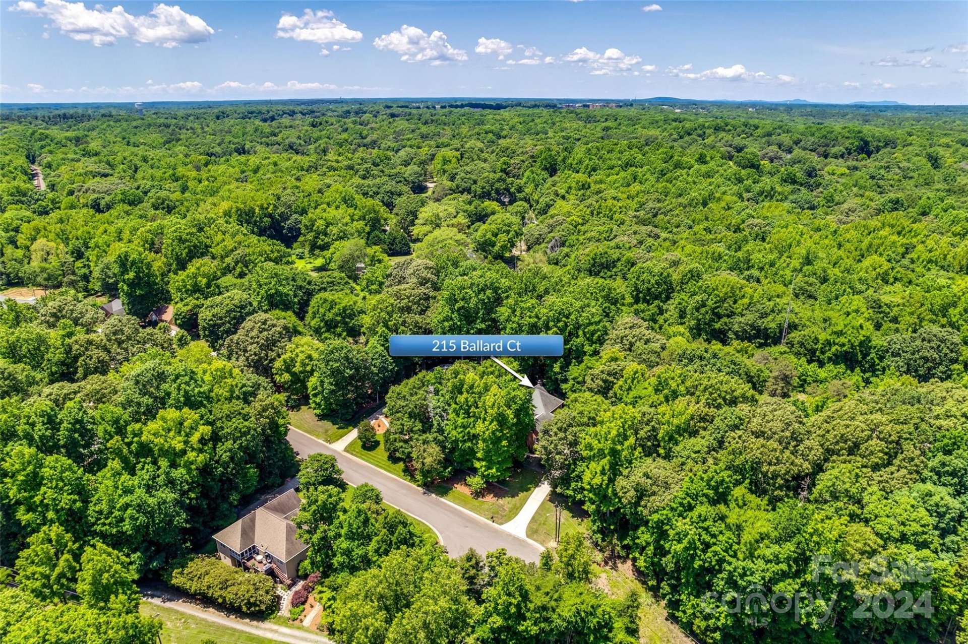 Property image 3 at 229 Ballard Court, Fort Mill, SC 29715