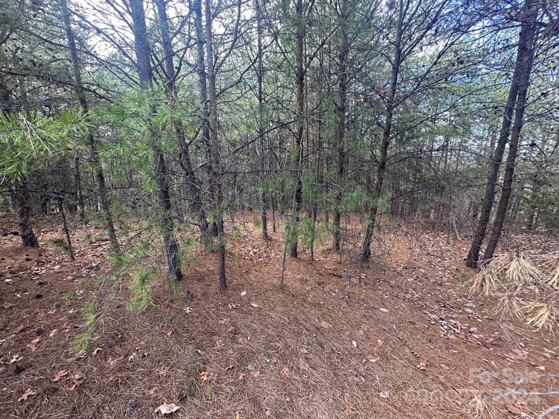 Property image 3 at 0000 Boulder Ridge, Lake Lure, NC 28746