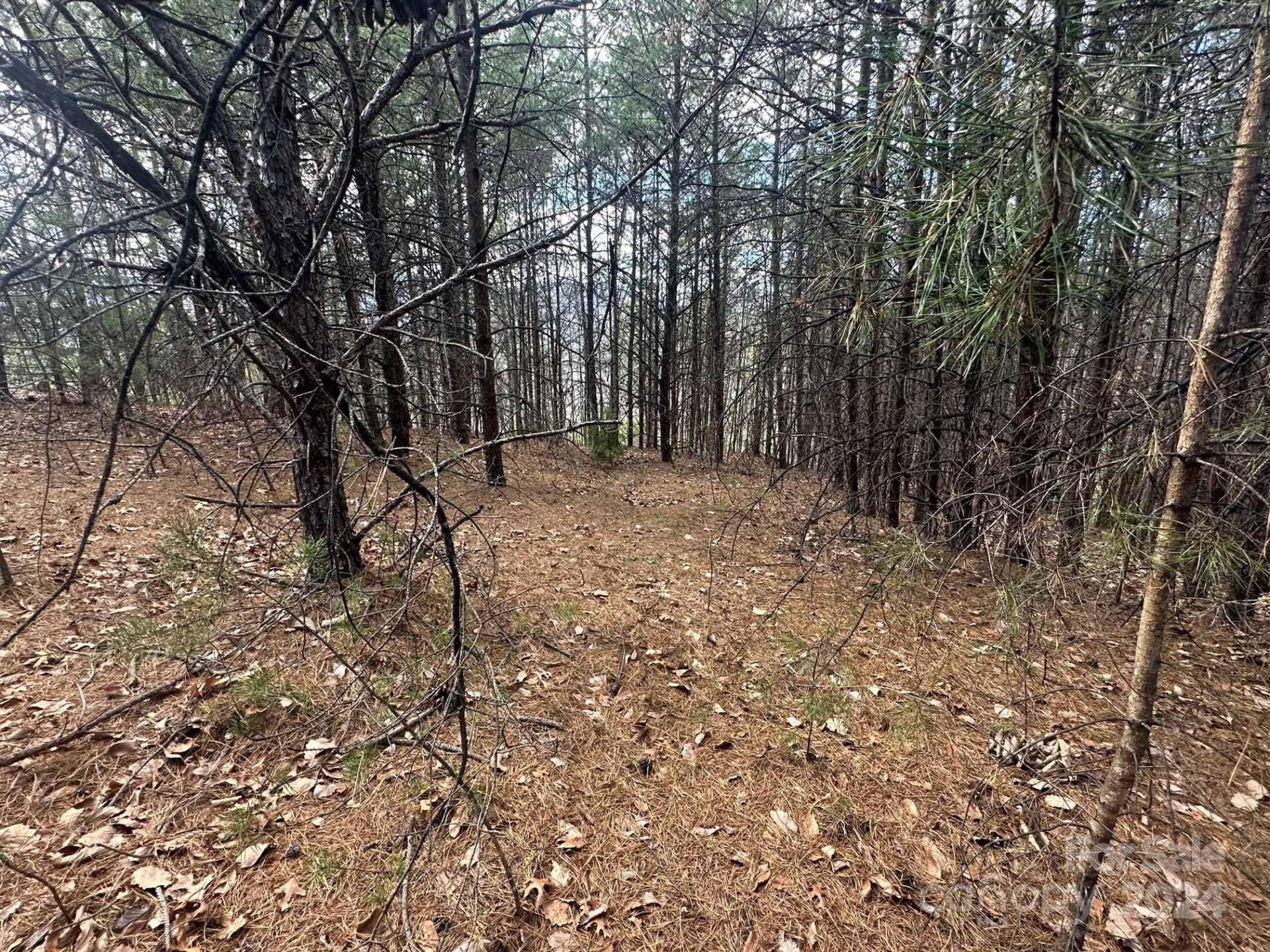 Property image 5 at 0000 Boulder Ridge, Lake Lure, NC 28746