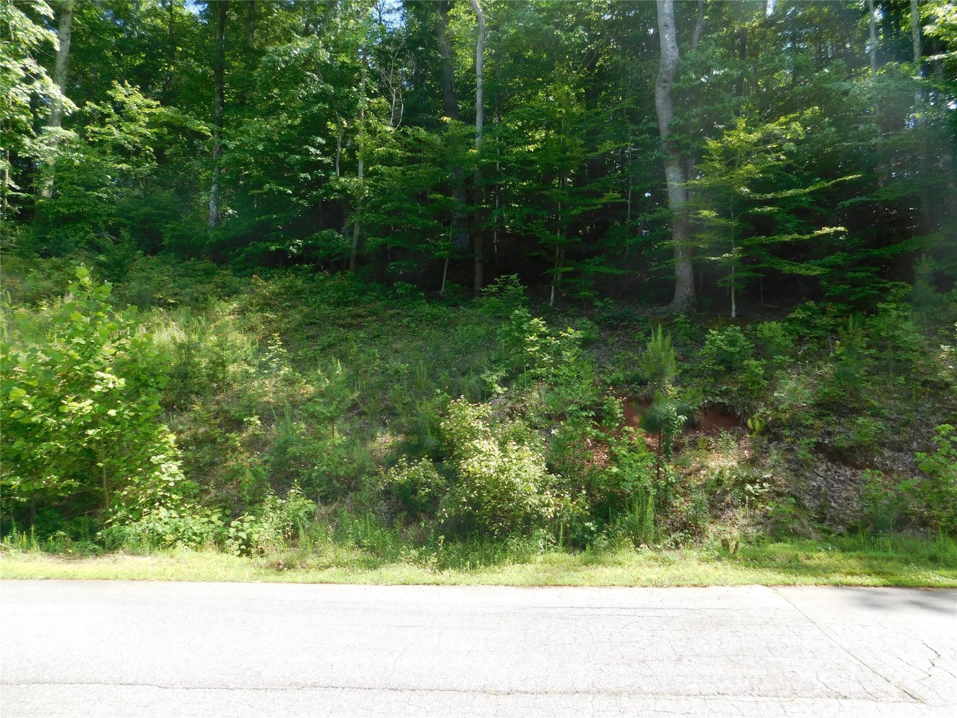 Property image 3 at 305 E Settings Boulevard, Valdese, NC 28690
