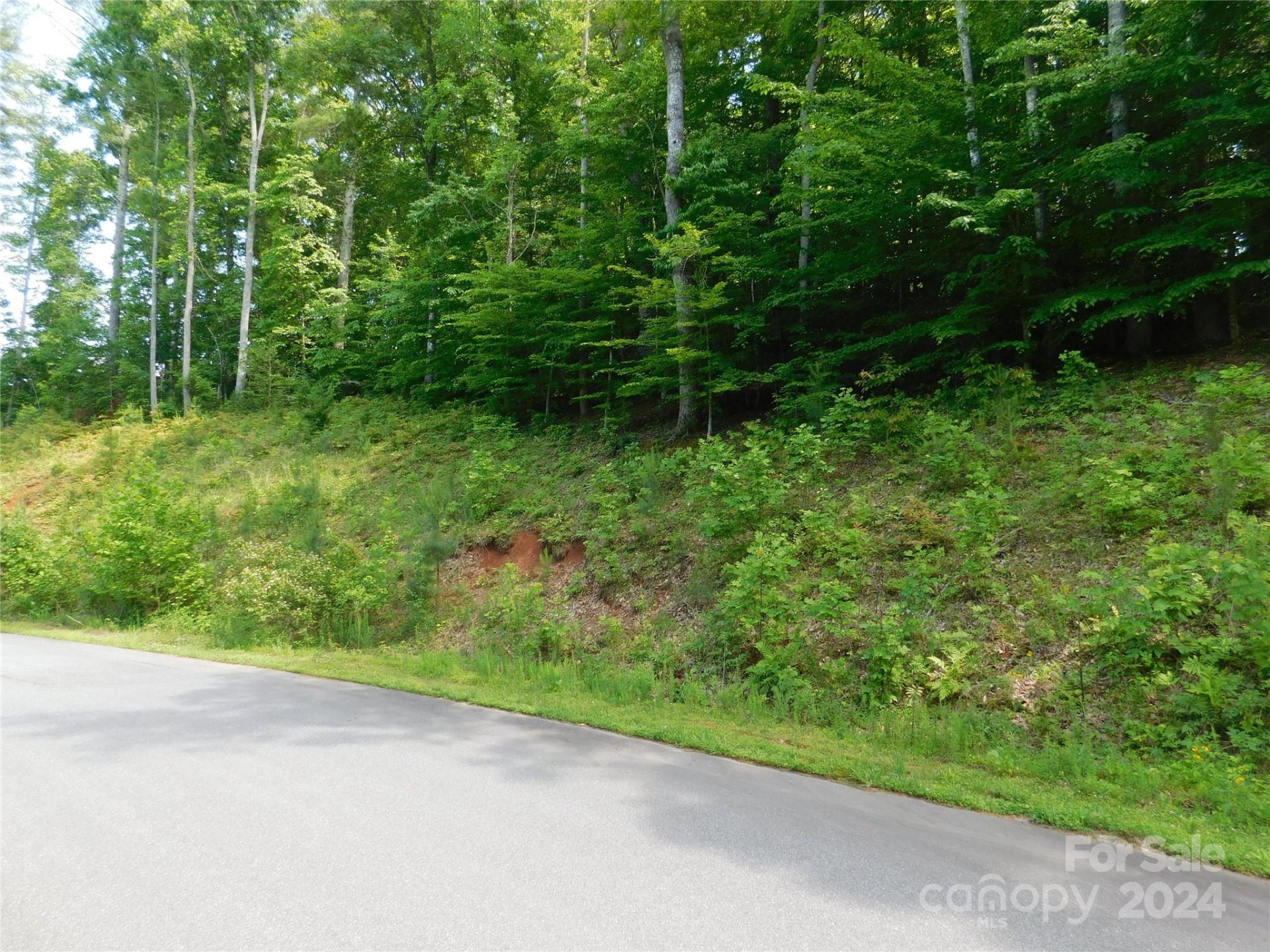 Property image 4 at 305 E Settings Boulevard, Valdese, NC 28690