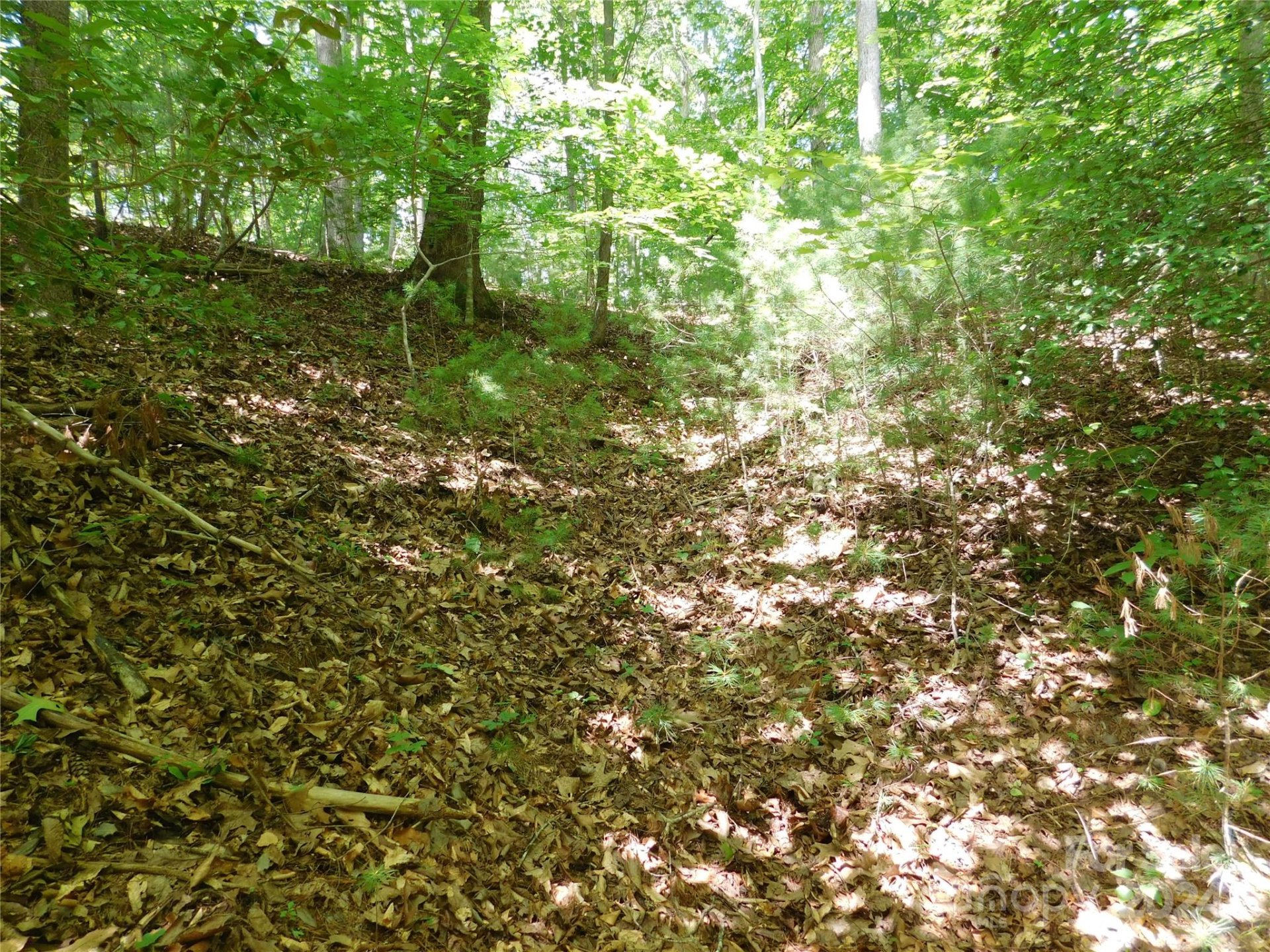 Property image 5 at 305 E Settings Boulevard, Valdese, NC 28690