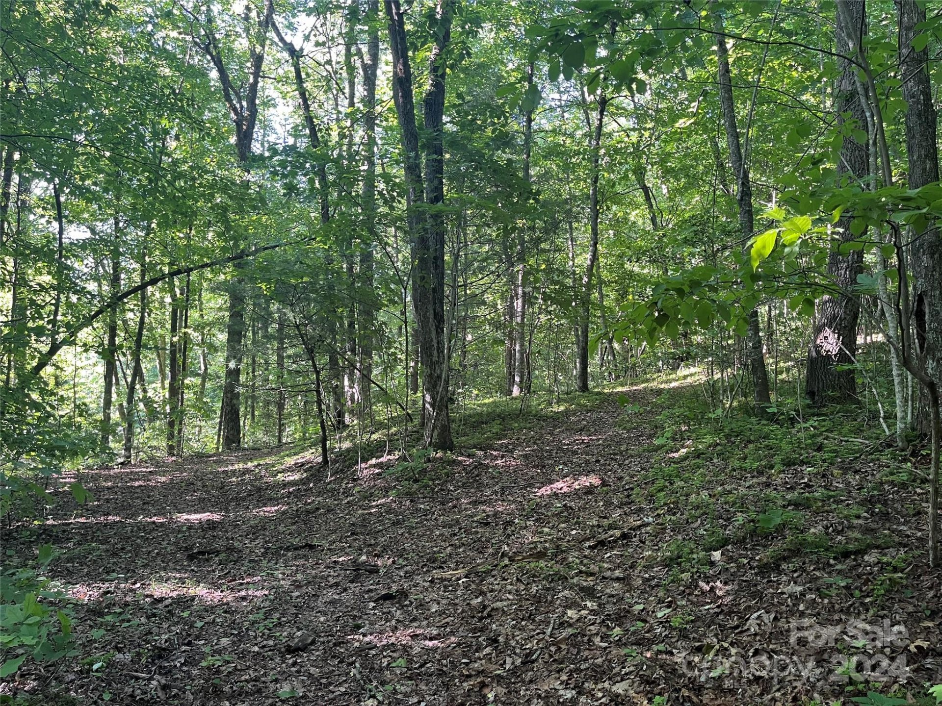 Property image 1 at 00 Haven Drive, Saluda, NC 28773