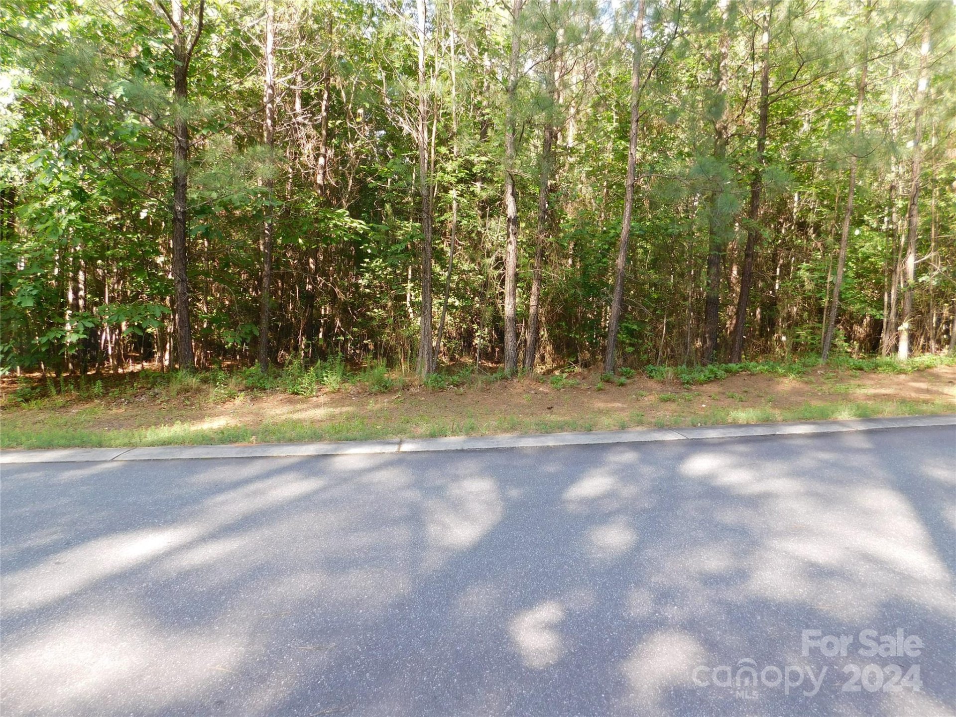 Property image 1 at 231 Grandfathers Pass, Valdese, NC 28690