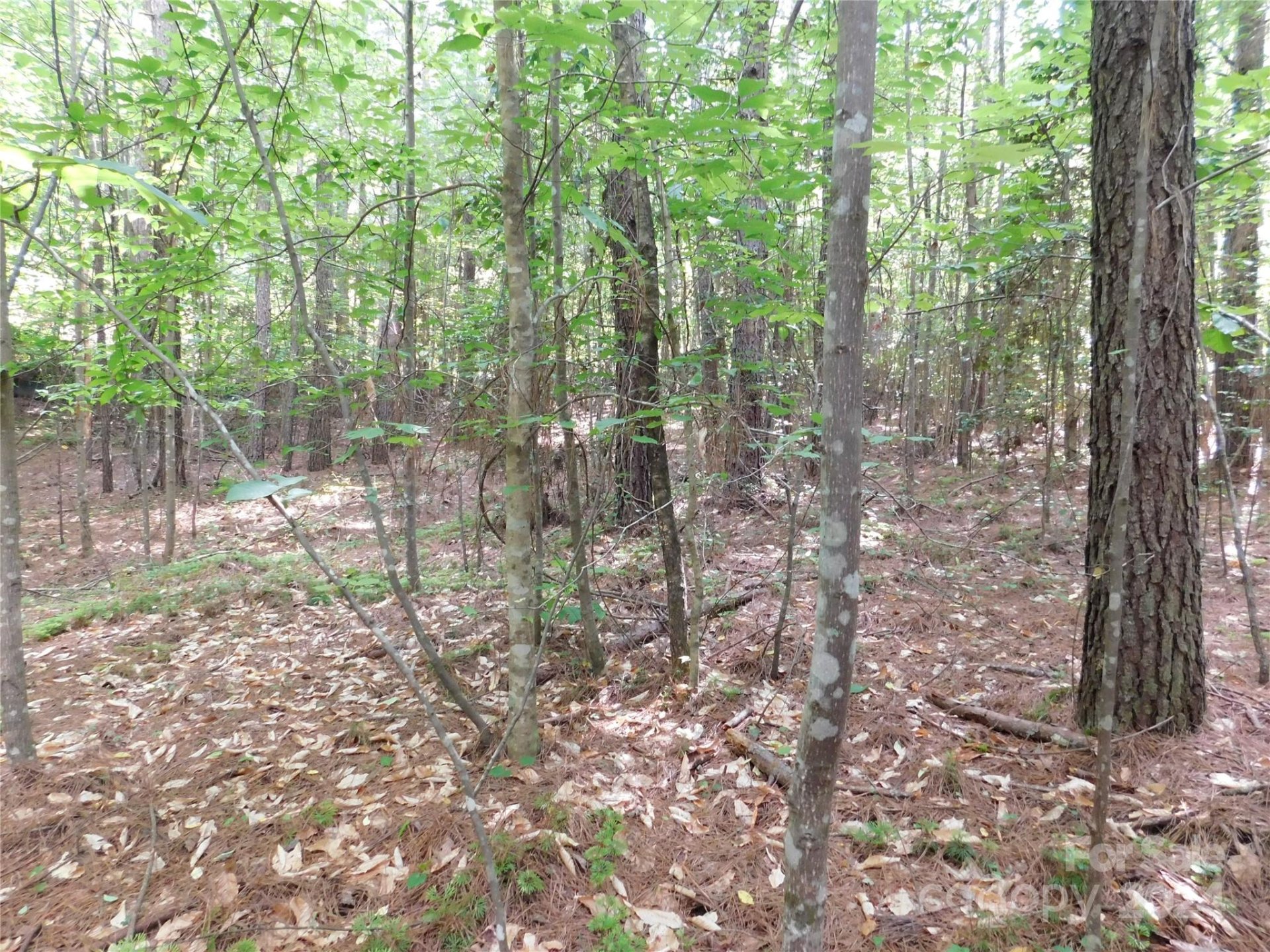 Property image 2 at 207 W Settings Boulevard, Valdese, NC 28690