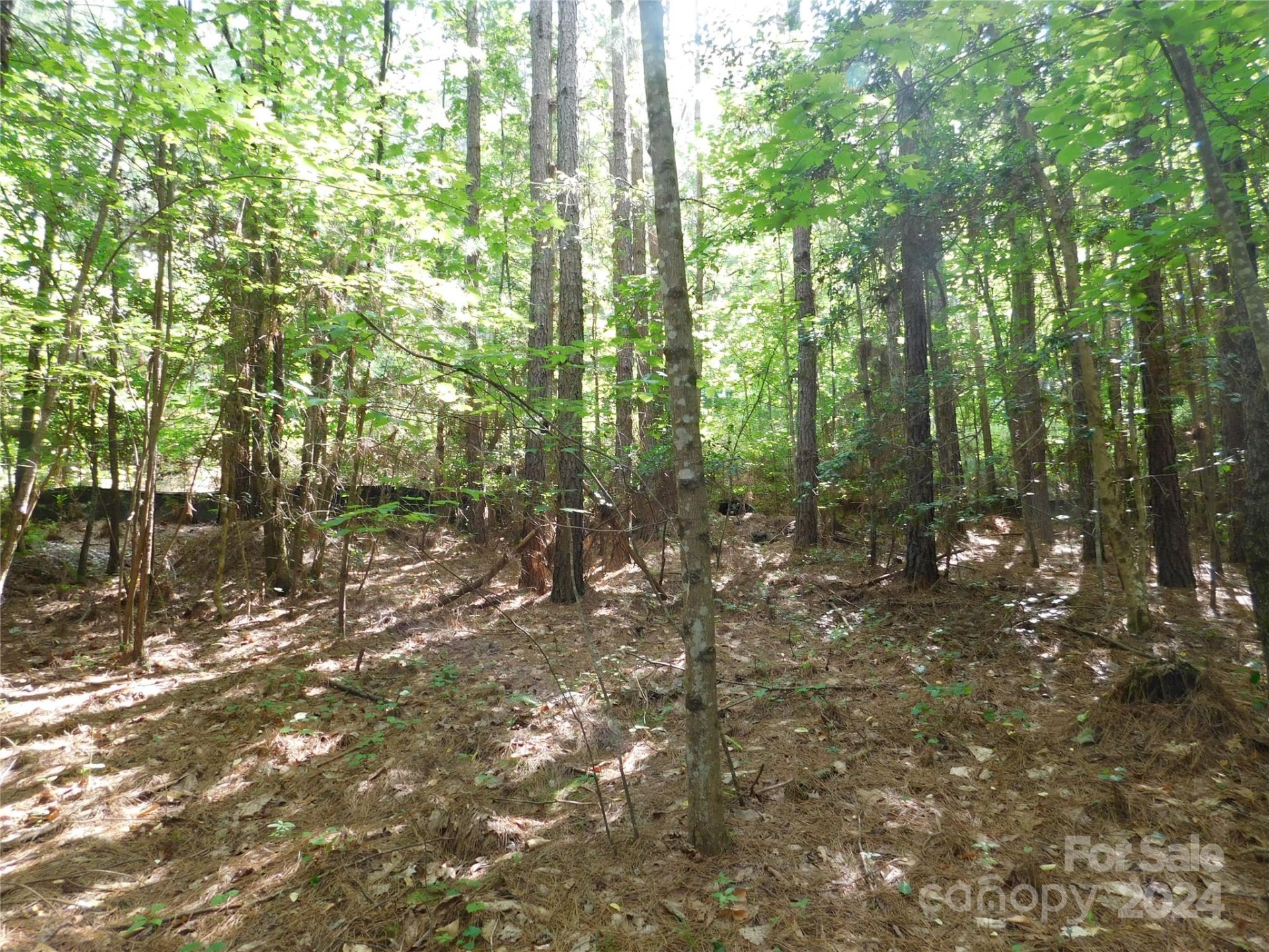 Property image 3 at 207 W Settings Boulevard, Valdese, NC 28690